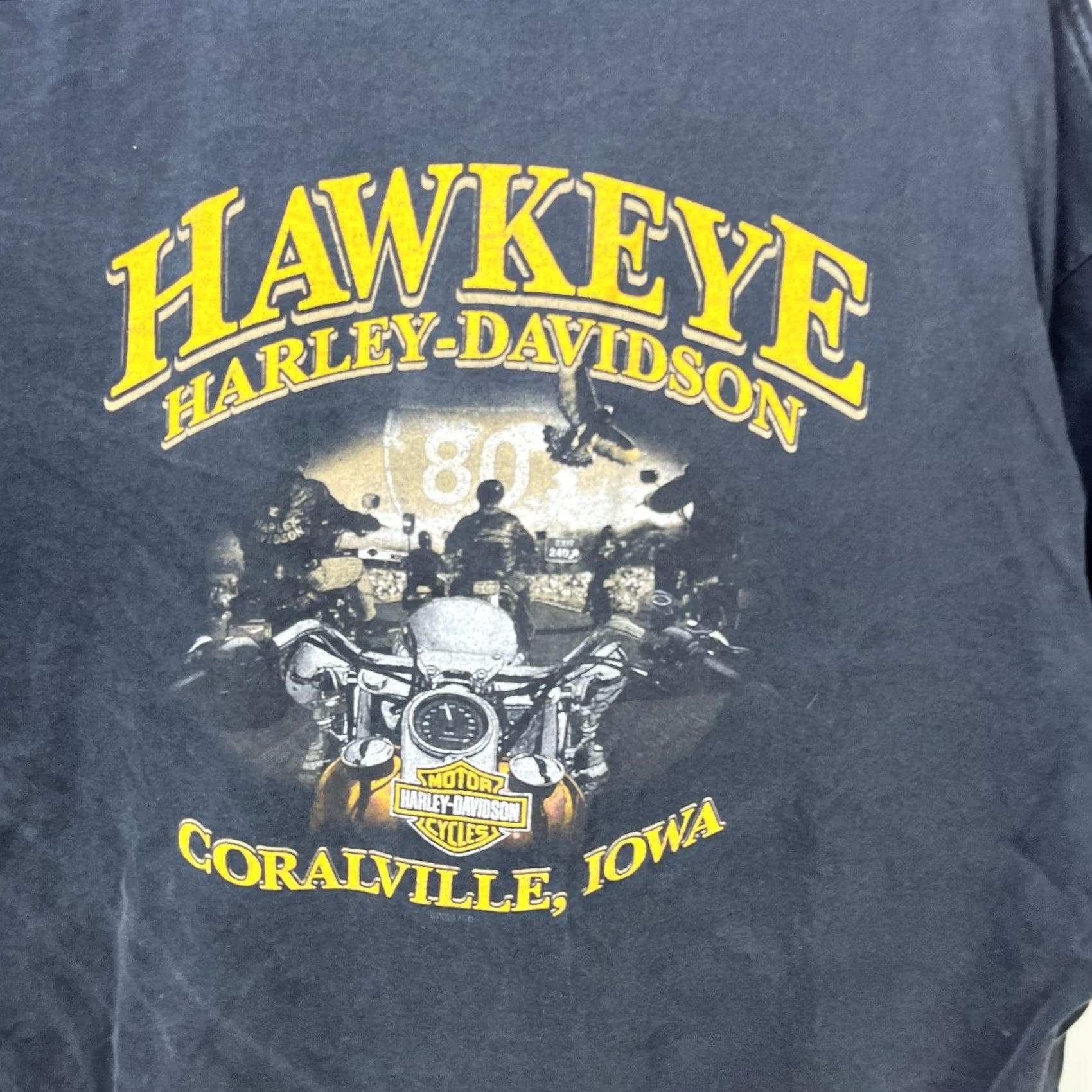 Harley Davidson Vintage Harley-Davidson T Shirt 2XL Black Graphic Print Crew Neck Short Sleeve Mens Outdoors 90s Skull Fire Irons δο Size US XXL / EU 58 / 5 - 5 Thumbnail