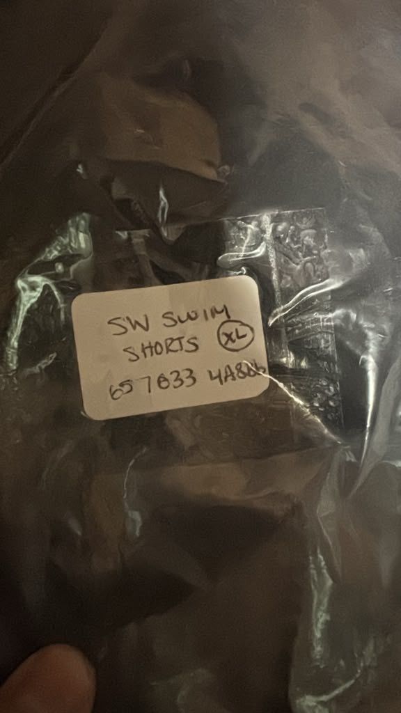 Balenciaga o1rshd1 Q:3 / Hotels & Resorts SW Swim Short in Black Size US 36 / EU 52 - 18 Thumbnail