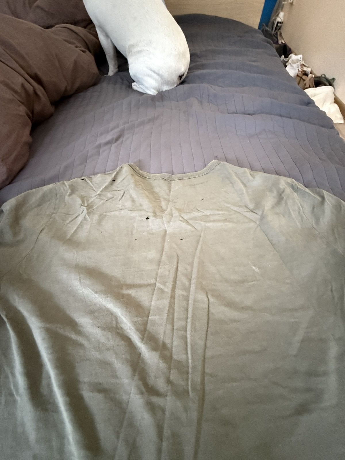 Polo Ralph Lauren Very nice Size US XL / EU 56 / 4 - 13 Thumbnail