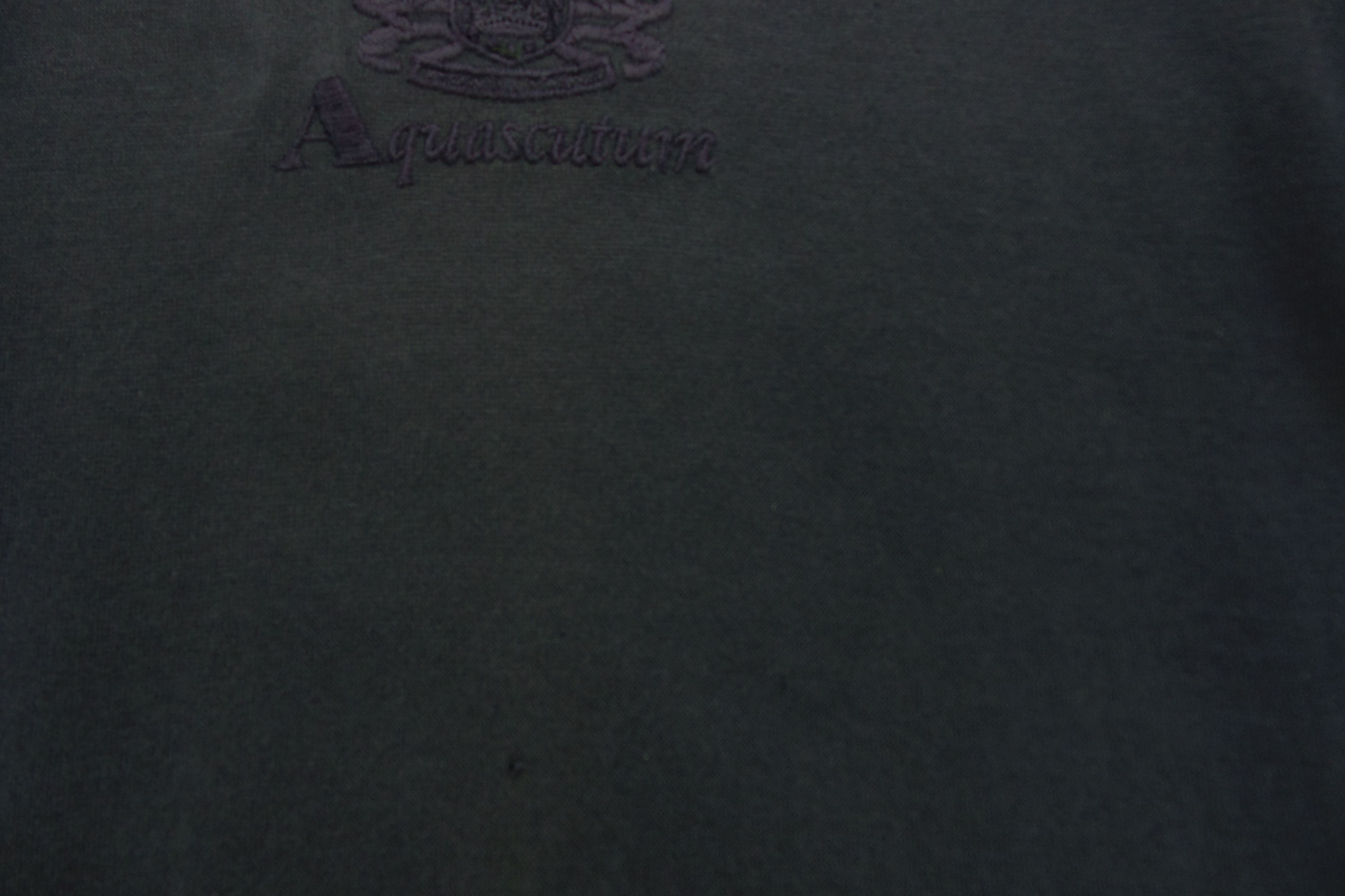 Aquascutum Aquascutum Small Logo Band Collar T-shirts Size US M / EU 48-50 / 2 - 5 Thumbnail
