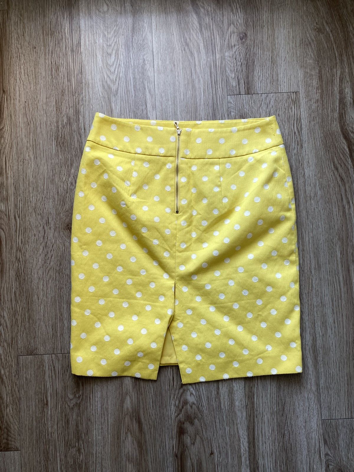 Ann Taylor Ann Taylor Polka Dot Skirt Size 28" / US 6 / IT 42 - 2 Thumbnail