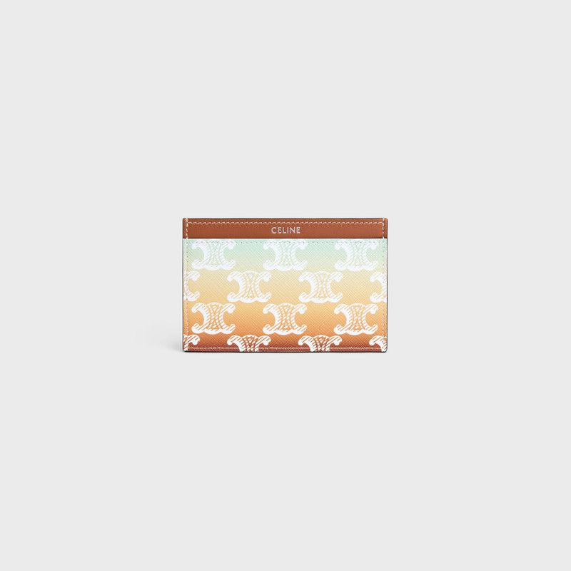Celine o1bcso1str0126 10B702GE2 Size: OS / Card Holder Multicolor Size ONE SIZE - 1 Thumbnail