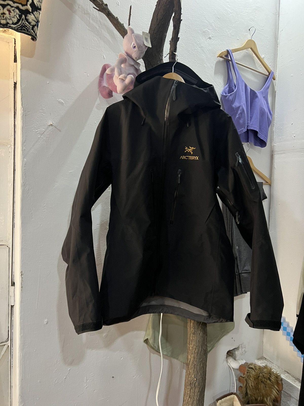 Arc'teryx Arc'teryx Alpha SV 24k Size US L / EU 52-54 / 3 - 1 Thumbnail