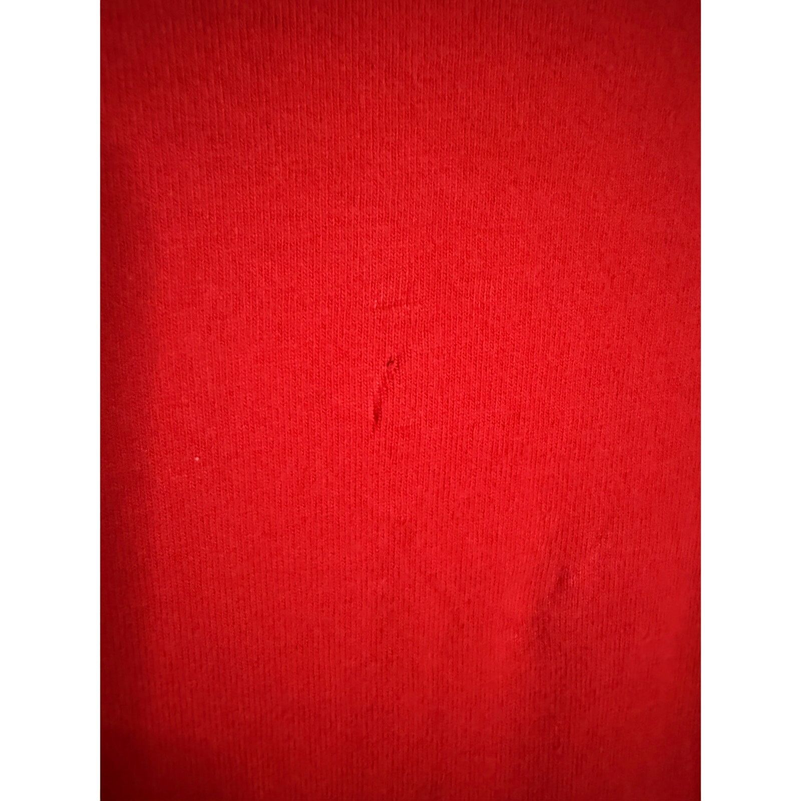 Fruit Of The Loom Vintage Detroit Red Wings Tee Size US L / EU 52-54 / 3 - 3 Thumbnail