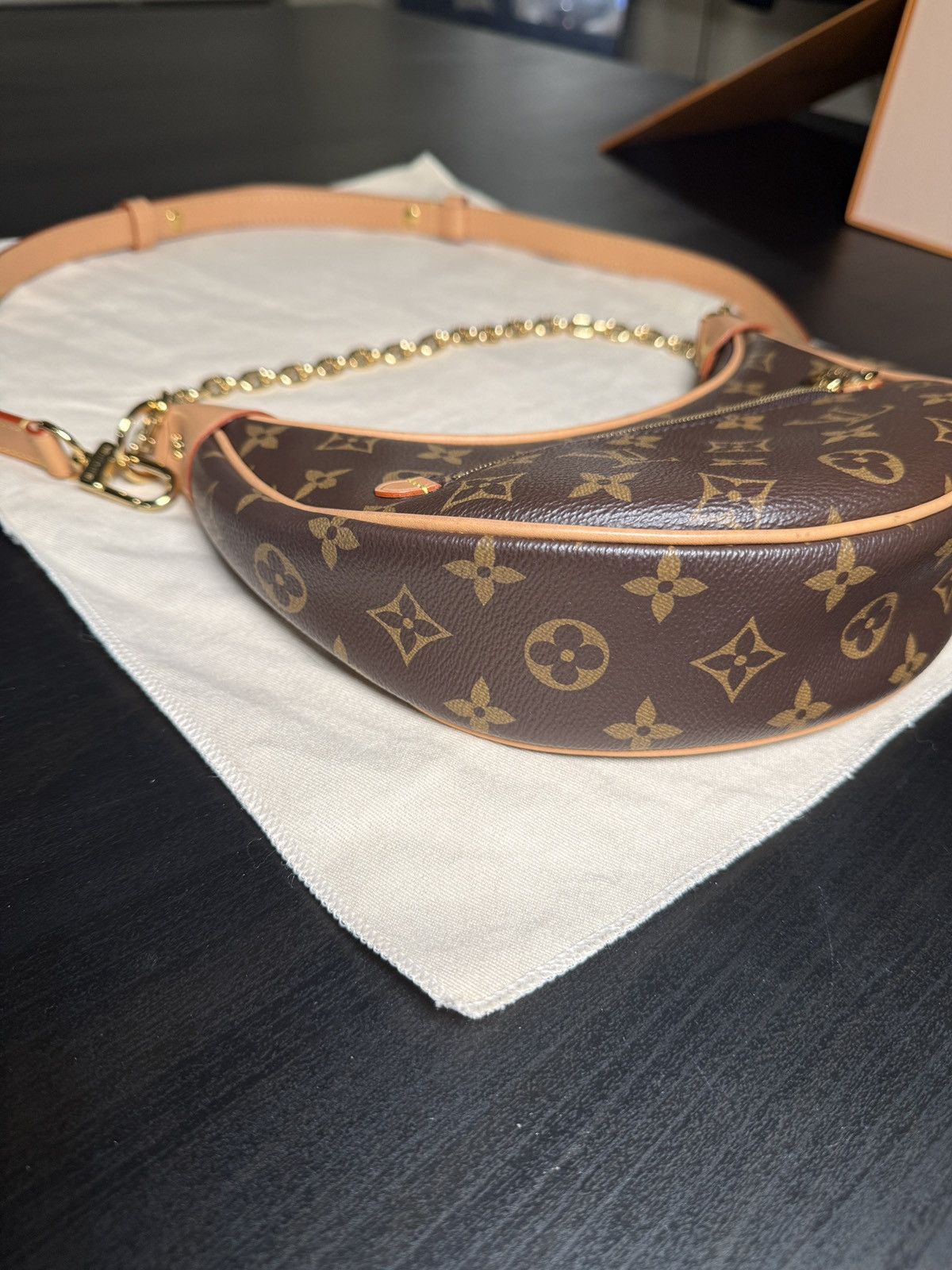 Louis Vuitton LOUIS VUITTON LOOP MONOGRAM BAG Size ONE SIZE - 3 Thumbnail