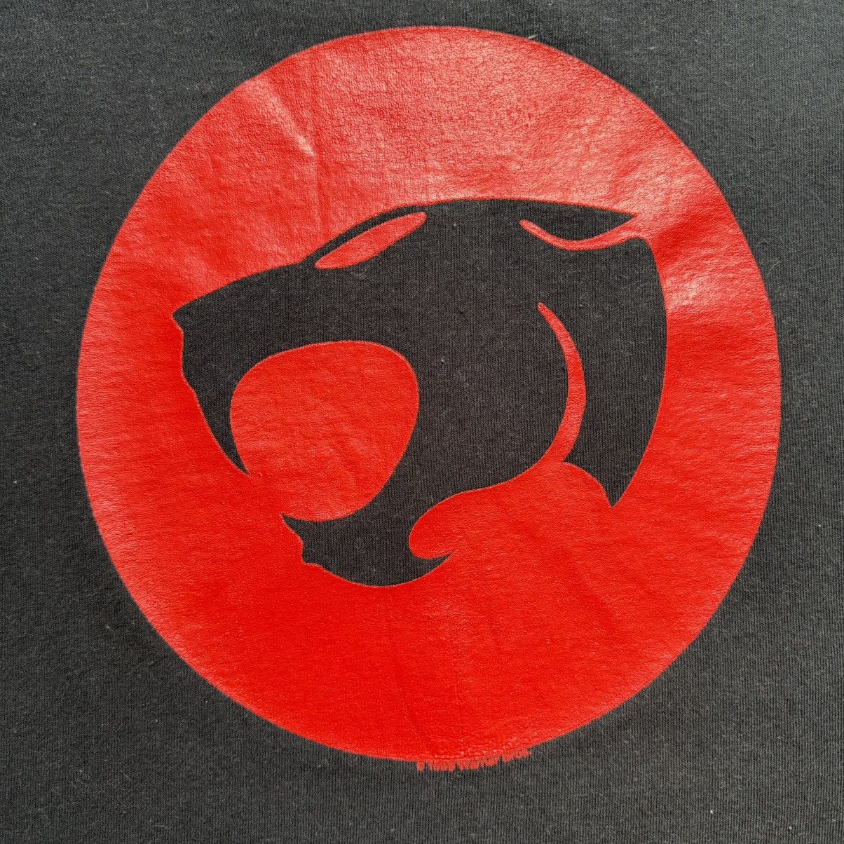 Delta × Vintage × Warner Bros Vintage ‘99 Thundercats T-Shirt Size US XL / EU 56 / 4 - 4 Thumbnail