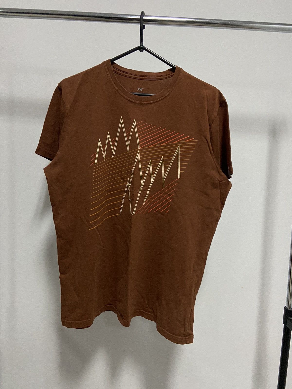 Arc'teryx × Vintage Arcteryx big logo vintage t shirt bird gorpcore mountain Size US L / EU 52-54 / 3 - 1 Thumbnail