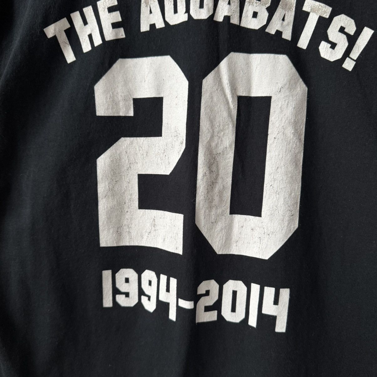 Band Tees The Aquabats 2014 Rock Band T-shirt Size US L / EU 52-54 / 3 - 7 Thumbnail