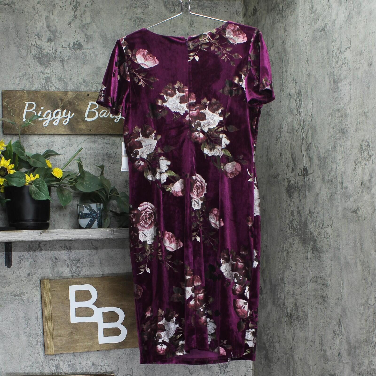 Todd Snyder Nwt Slny Short Sheath Velvet Dress Magenta Velvet Purple 12 Size XL / US 12-14 / IT 48-50 - 2 Thumbnail