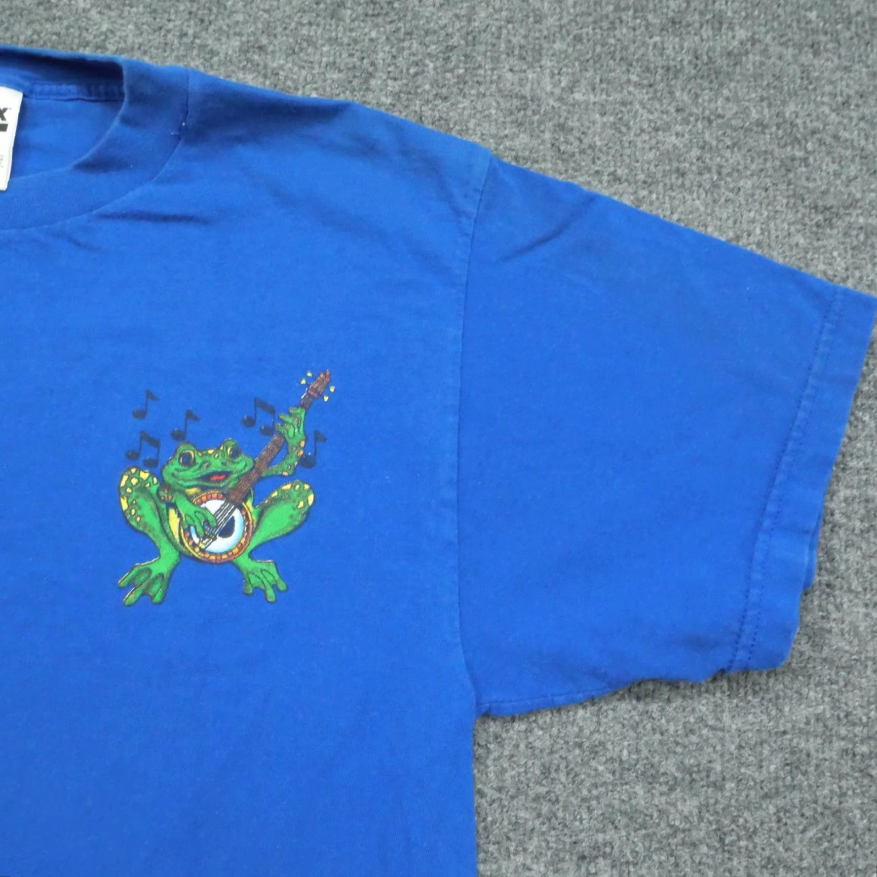 Tultex VINTAGE South Carolina T Shirt Adult Large Blue Frog Band Mens Y2K Size US L / EU 52-54 / 3 - 5 Thumbnail