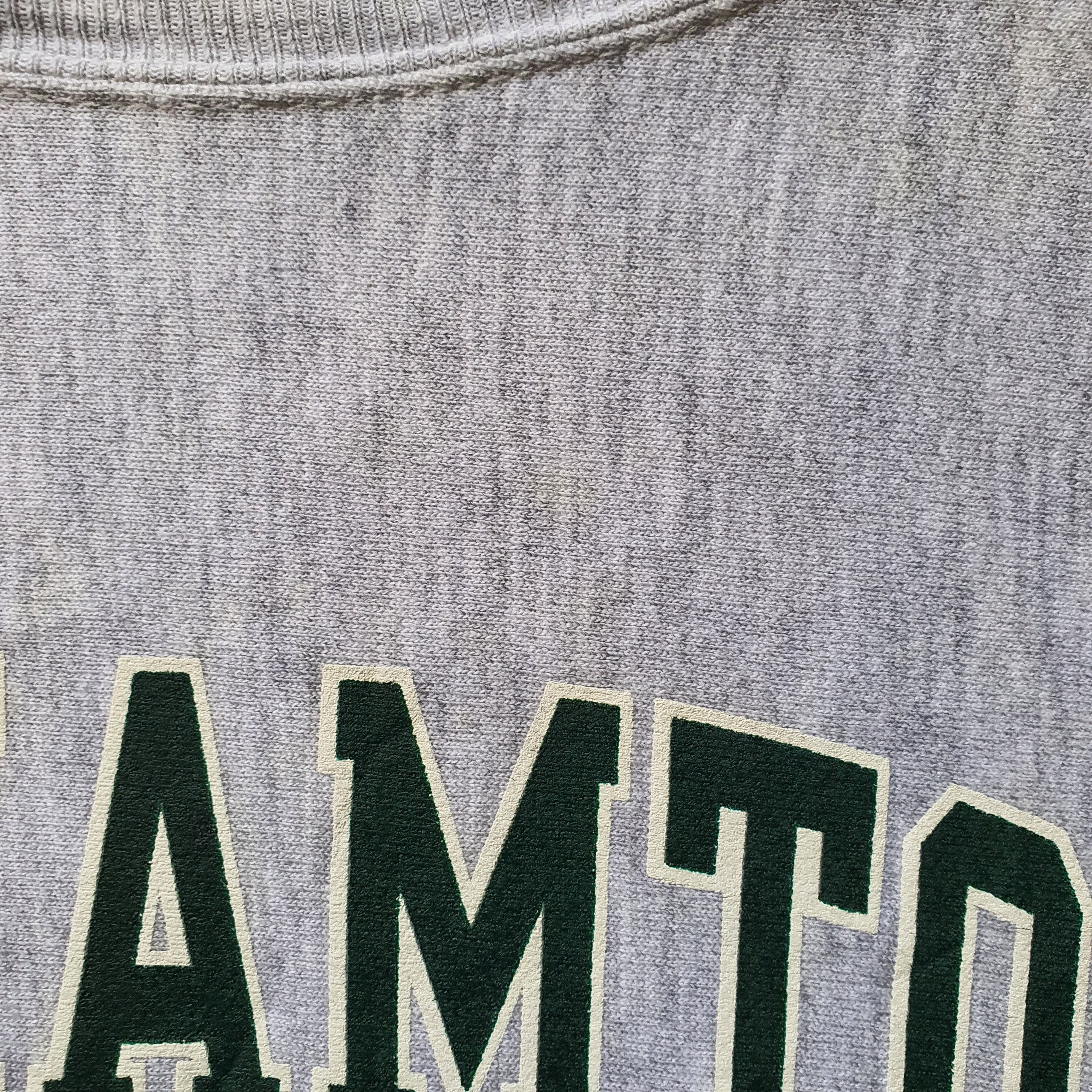 Champion × Vintage 90s Champion Binghamton University New York Sweatshirt L Size US L / EU 52-54 / 3 - 9 Thumbnail