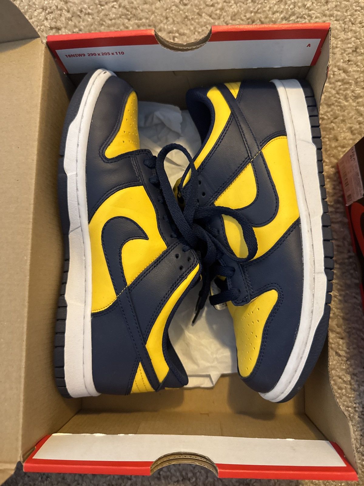 Nike Dunk Low Michigan (GS)