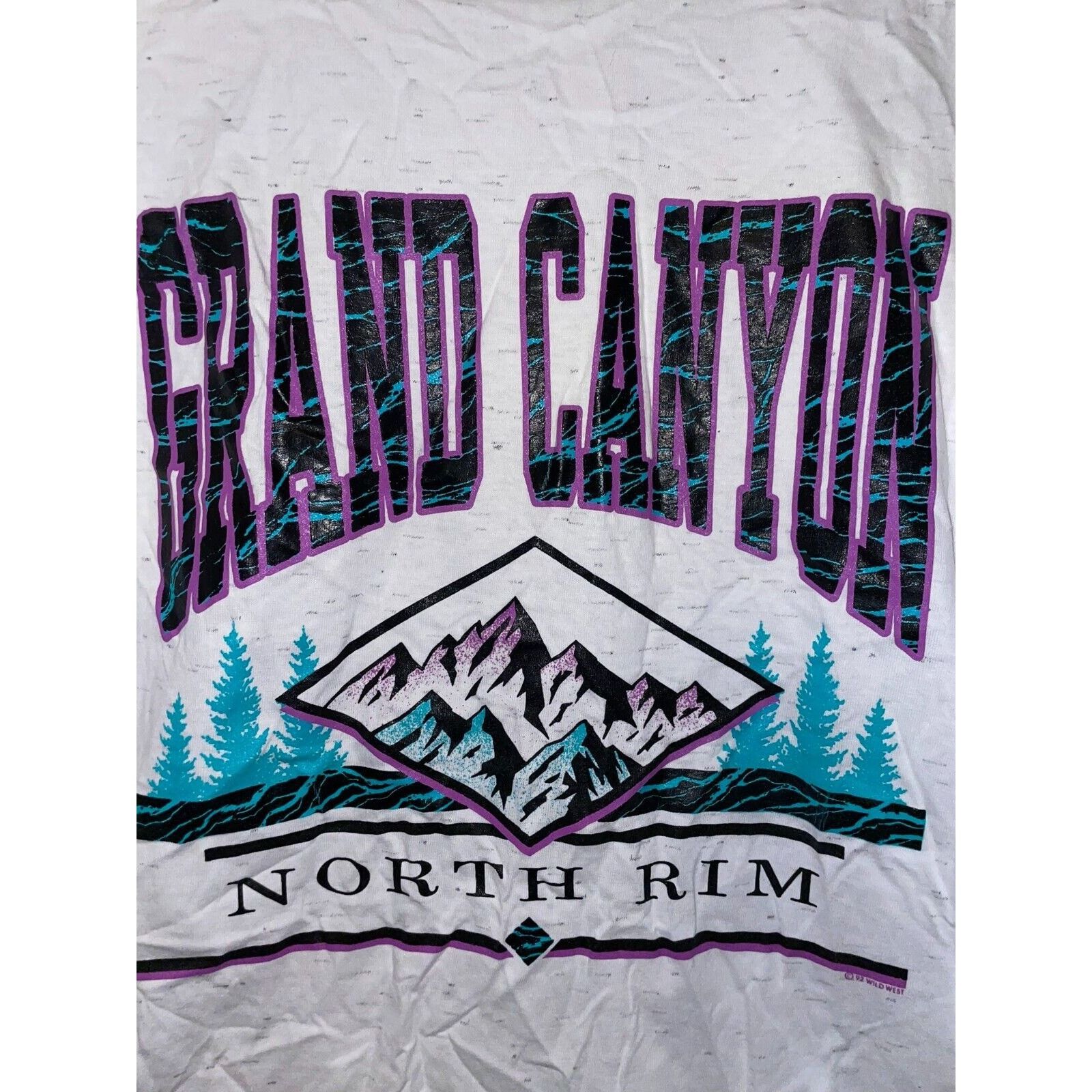 Vintage VTG Test Print Shirt Grand Canyon Yellowstone White OOAK Tee Size US L / EU 52-54 / 3 - 2 Thumbnail