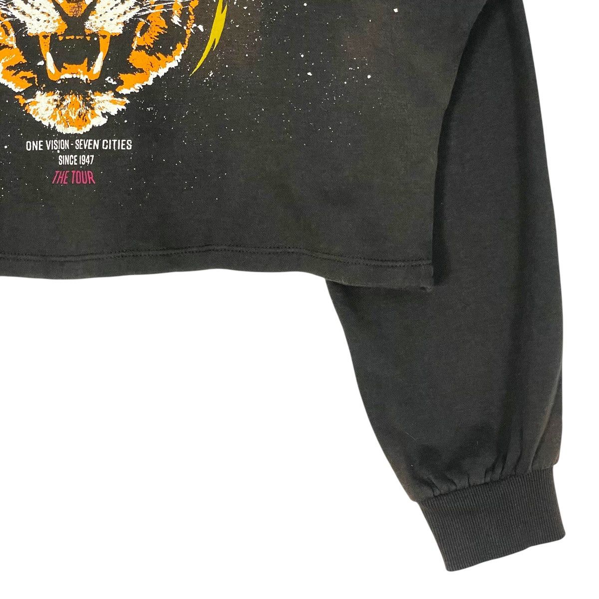 Band Tees Vintage Desolate Tour Band Tee Rock Cropped Sweatshirt Size M / US 6-8 / IT 42-44 - 5 Thumbnail