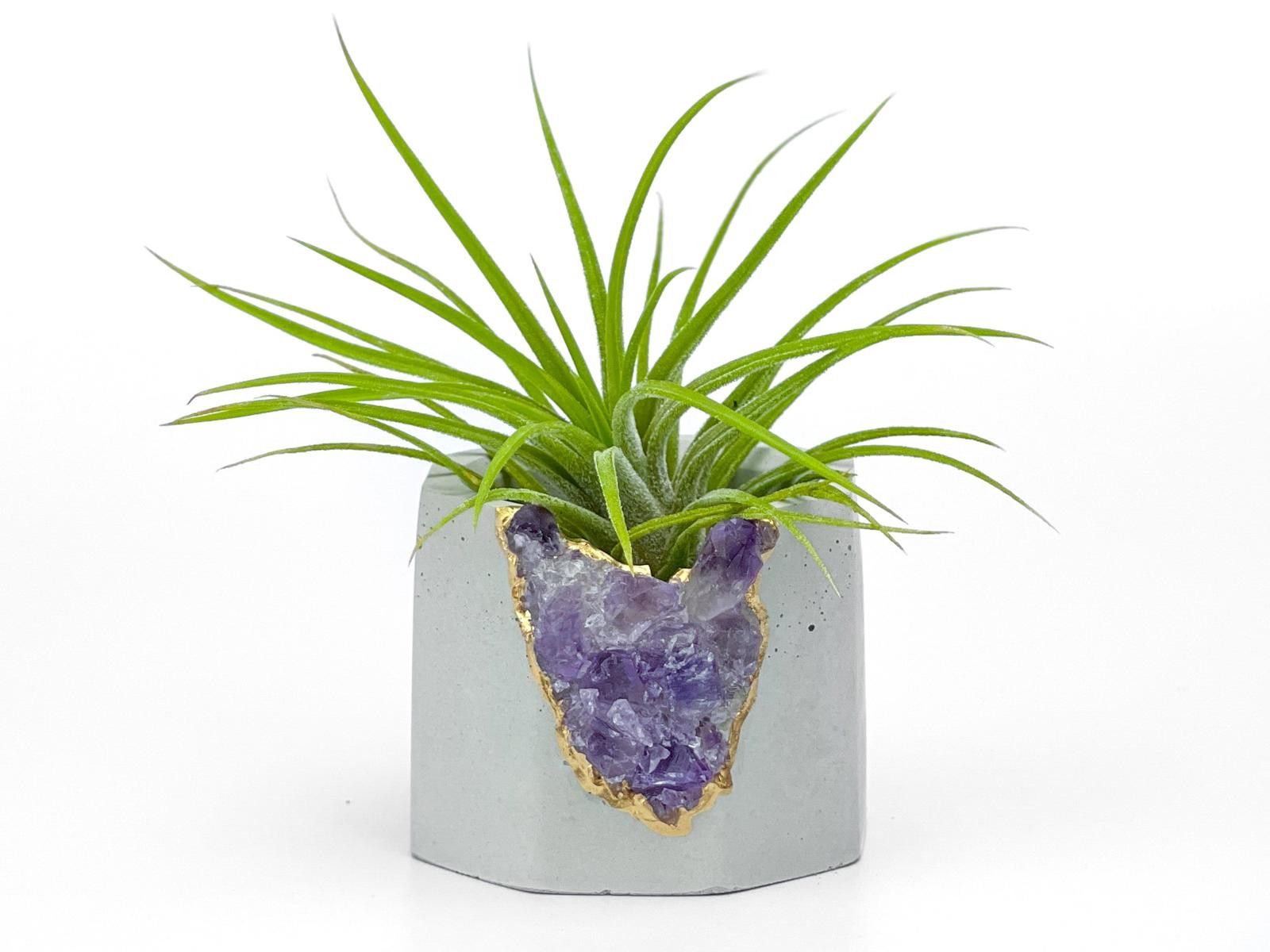 Other Gift Raw Amethyst Crystal Planter Geode Planter vase pot Size ONE SIZE - 1 Thumbnail
