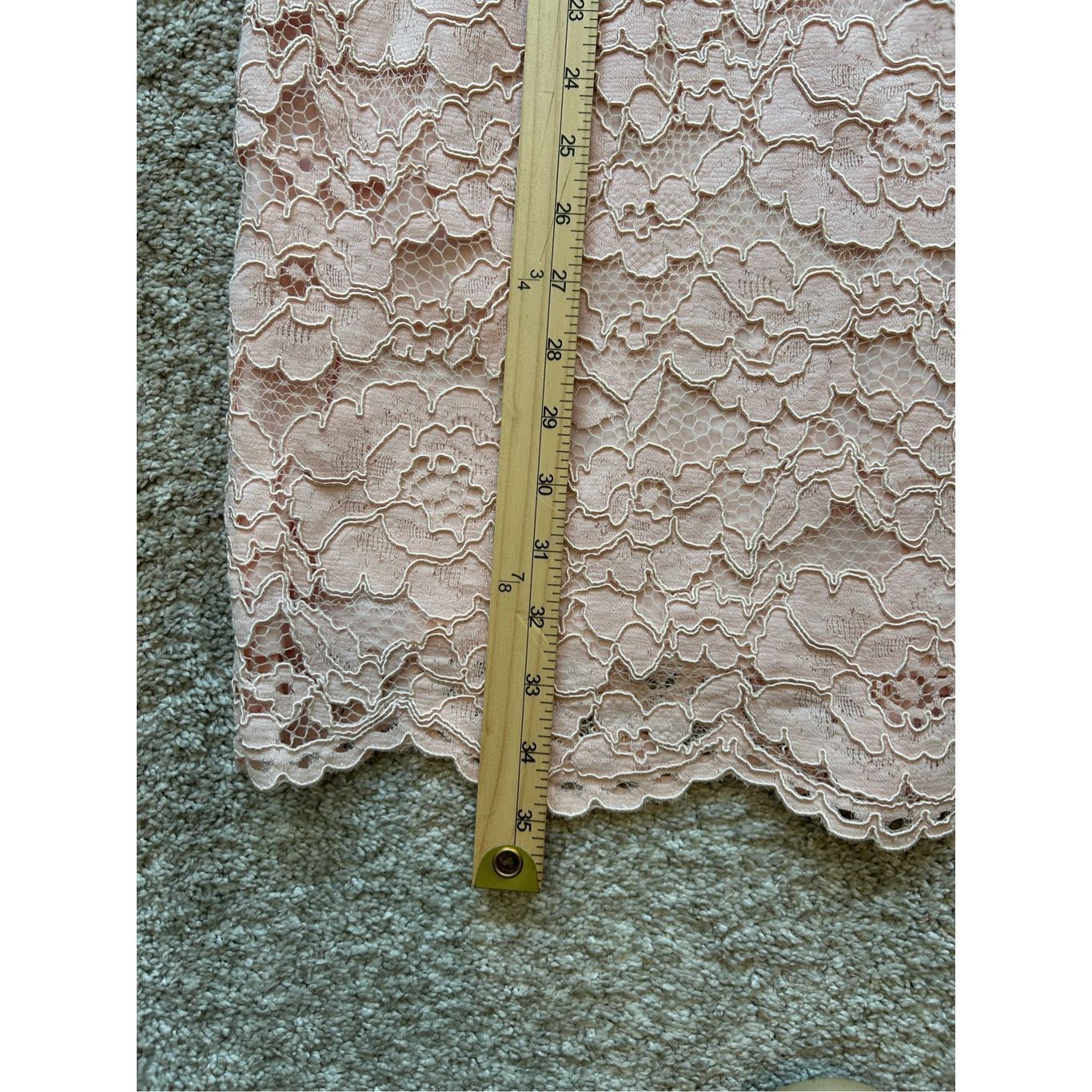 Lauren Ralph Lauren Lauren Ralph Lauren Women’s Petite Pink Lace Sheath Formal E Size XL / US 12-14 / IT 48-50 - 9 Thumbnail