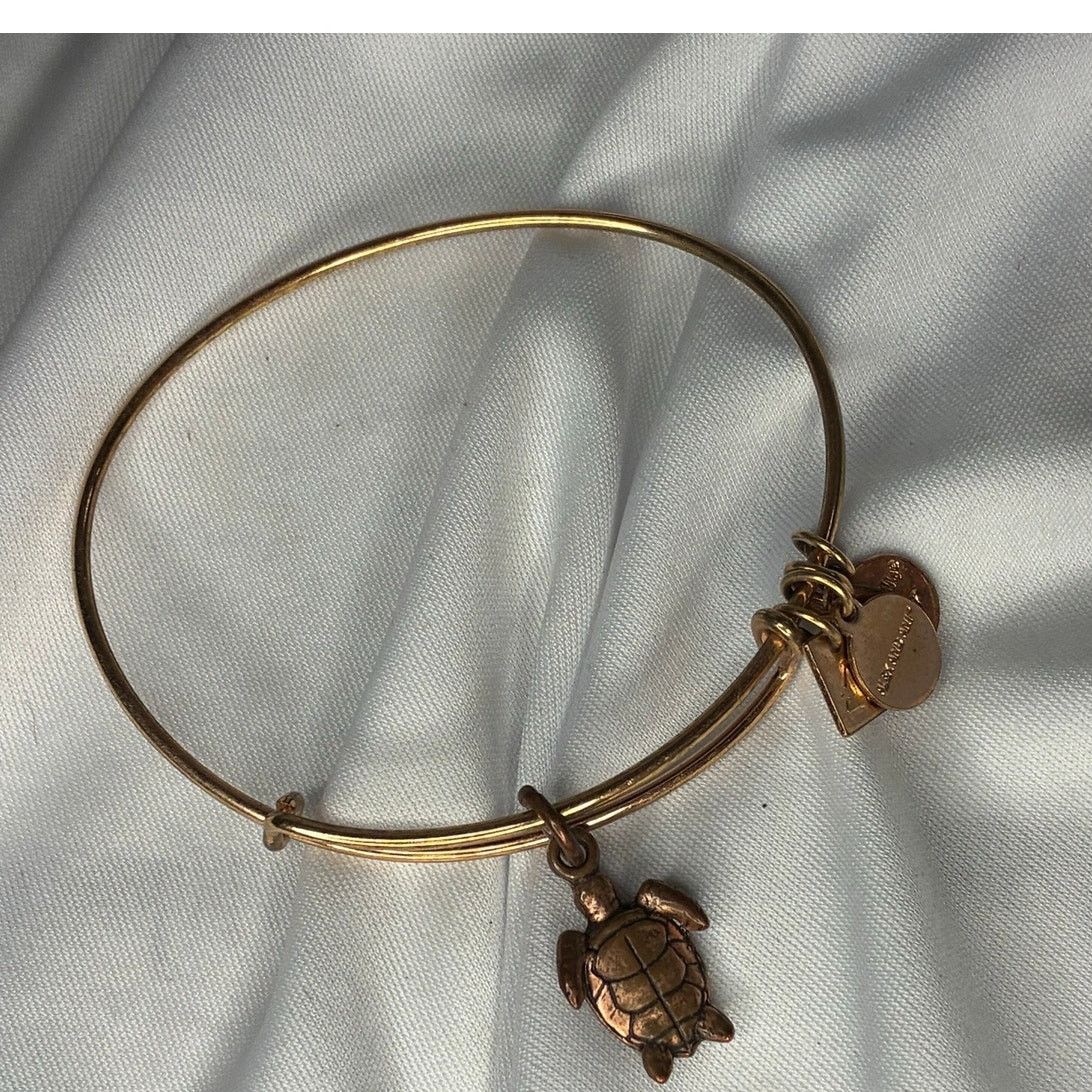 Other Alex and Ani Sea Turtle Bangle Bracelet Rafaelian Gold Tone Size ONE SIZE - 4 Thumbnail