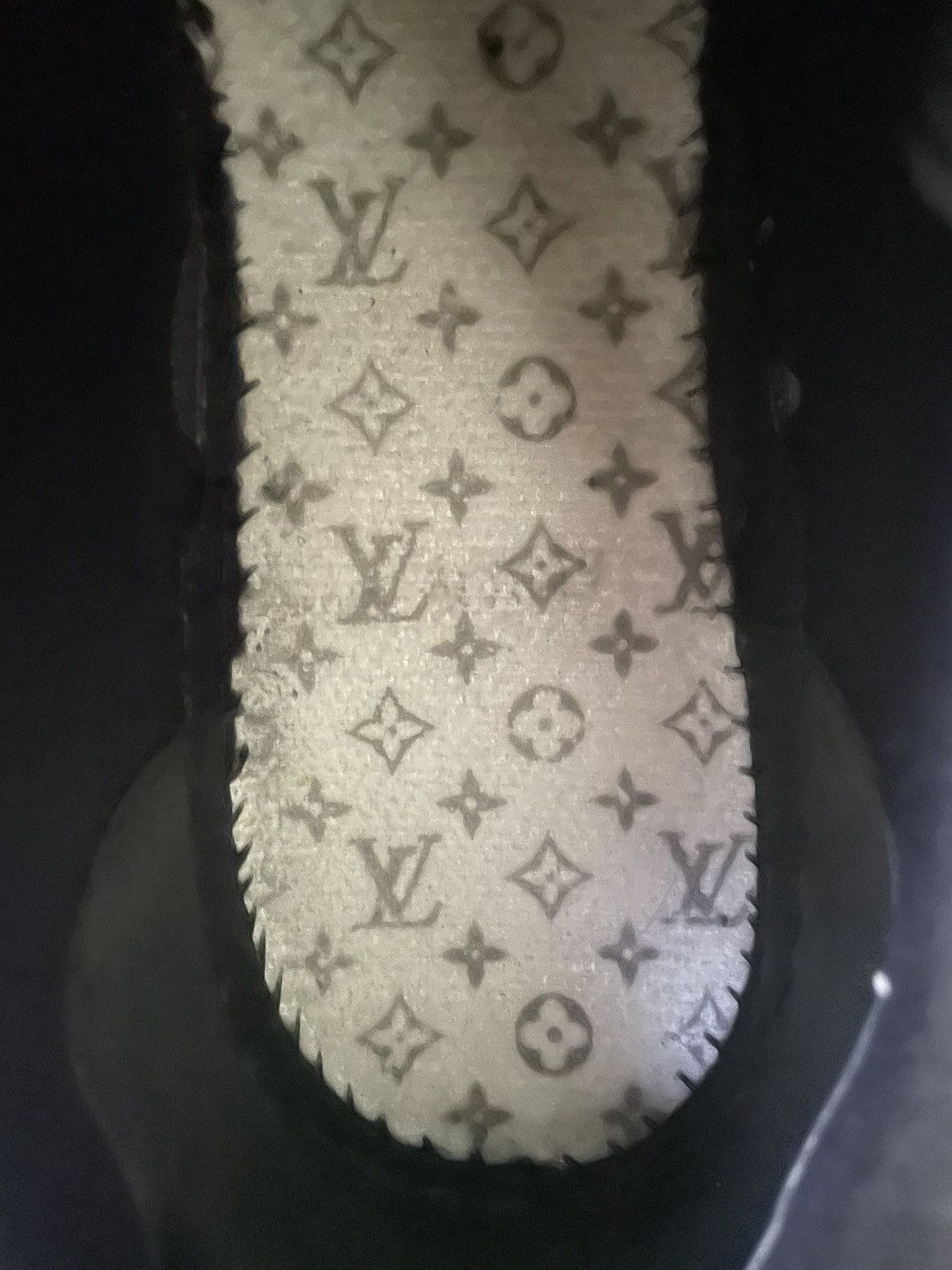 Louis Vuitton Louis vuitton trainer monogram denim black Size US 9 / EU 42 - 8 Thumbnail