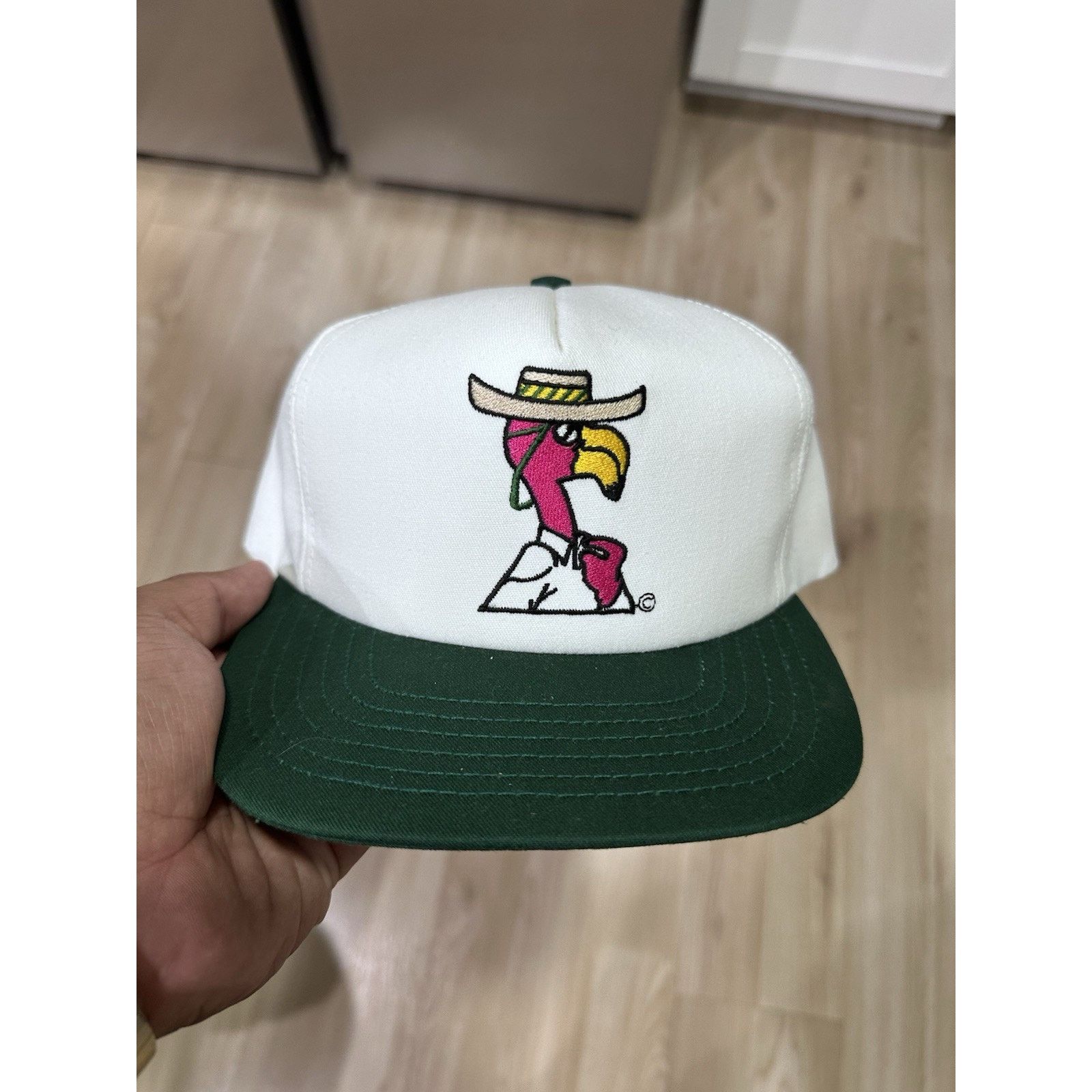 & Other Stories Vintage Florida Lottery Hat Cap Snap Back Size ONE SIZE - 1 Thumbnail