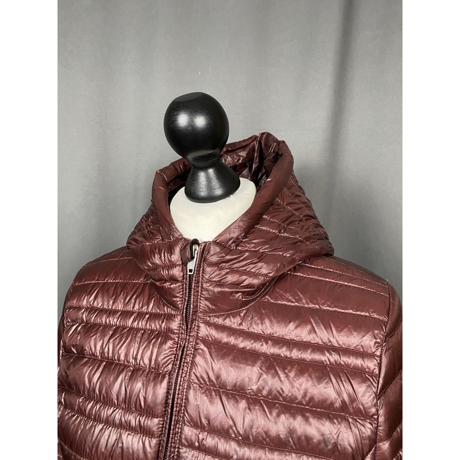 Patagonia Patagonia Women's Red Burgundy Down Insulated Long Parka Jac Size S / US 4 / IT 40 - 5 Thumbnail