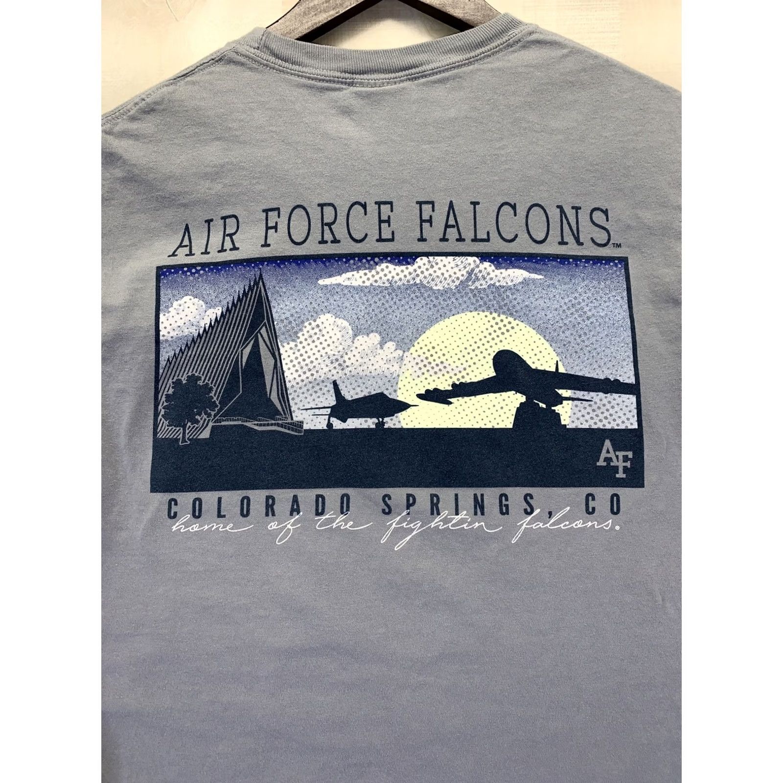 Comfort Colors Men's Gray Air Force Falcons T-Shirt Sz Small Comfort Colors Crew Neck Short Sleeve Graphic Print Size US S / EU 44-46 / 1 - 5 Thumbnail