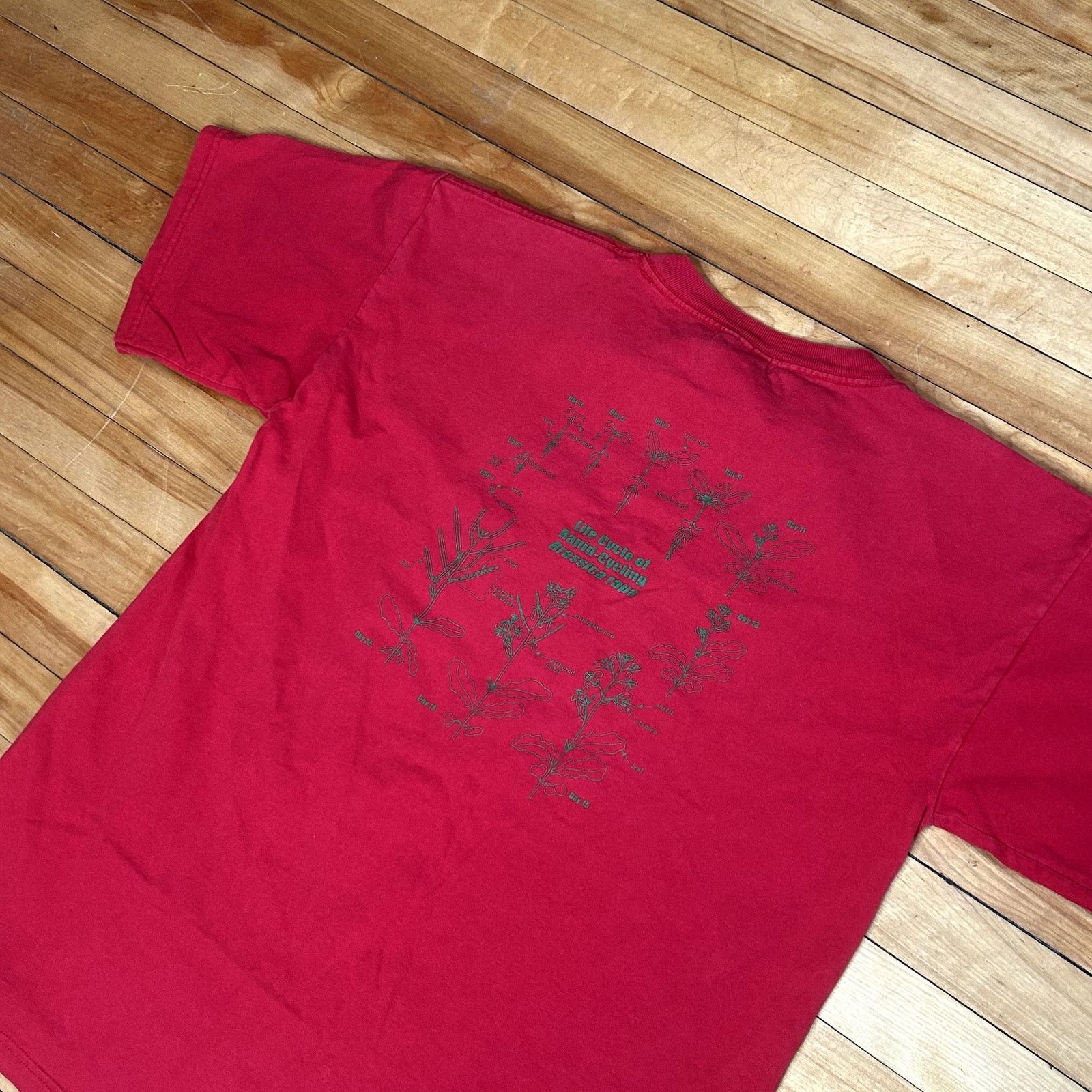 Vintage Y2K Wisconsin Fast Plants T-Shirt Large Size US L / EU 52-54 / 3 - 3 Thumbnail