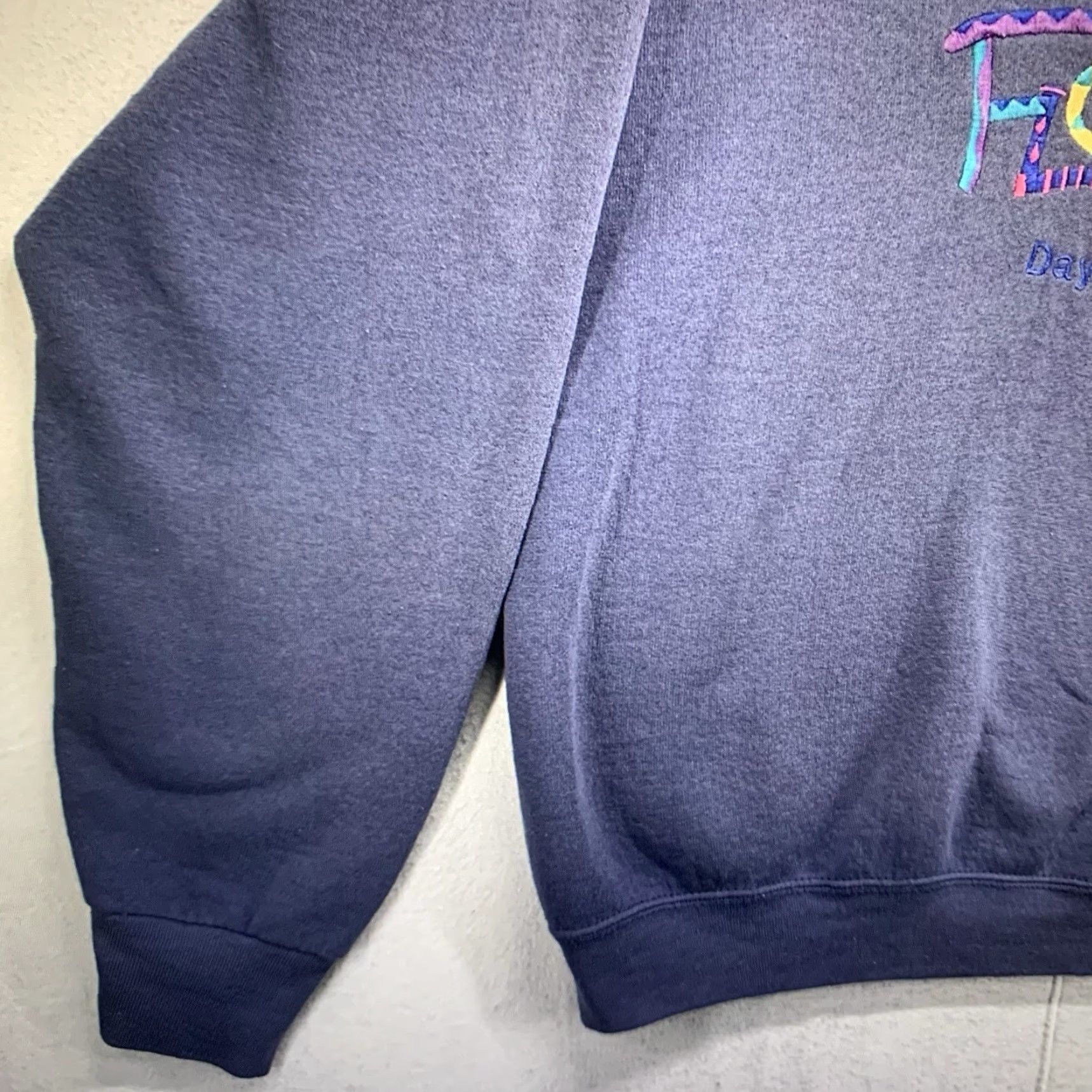 Fruit Of The Loom VINTAGE Fruit of the Loom Sweatshirt Adult Large Daytona Beach Embroidered Logo 90s Retro Beach USA Cotton Fleece Size US L / EU 52-54 / 3 - 7 Thumbnail