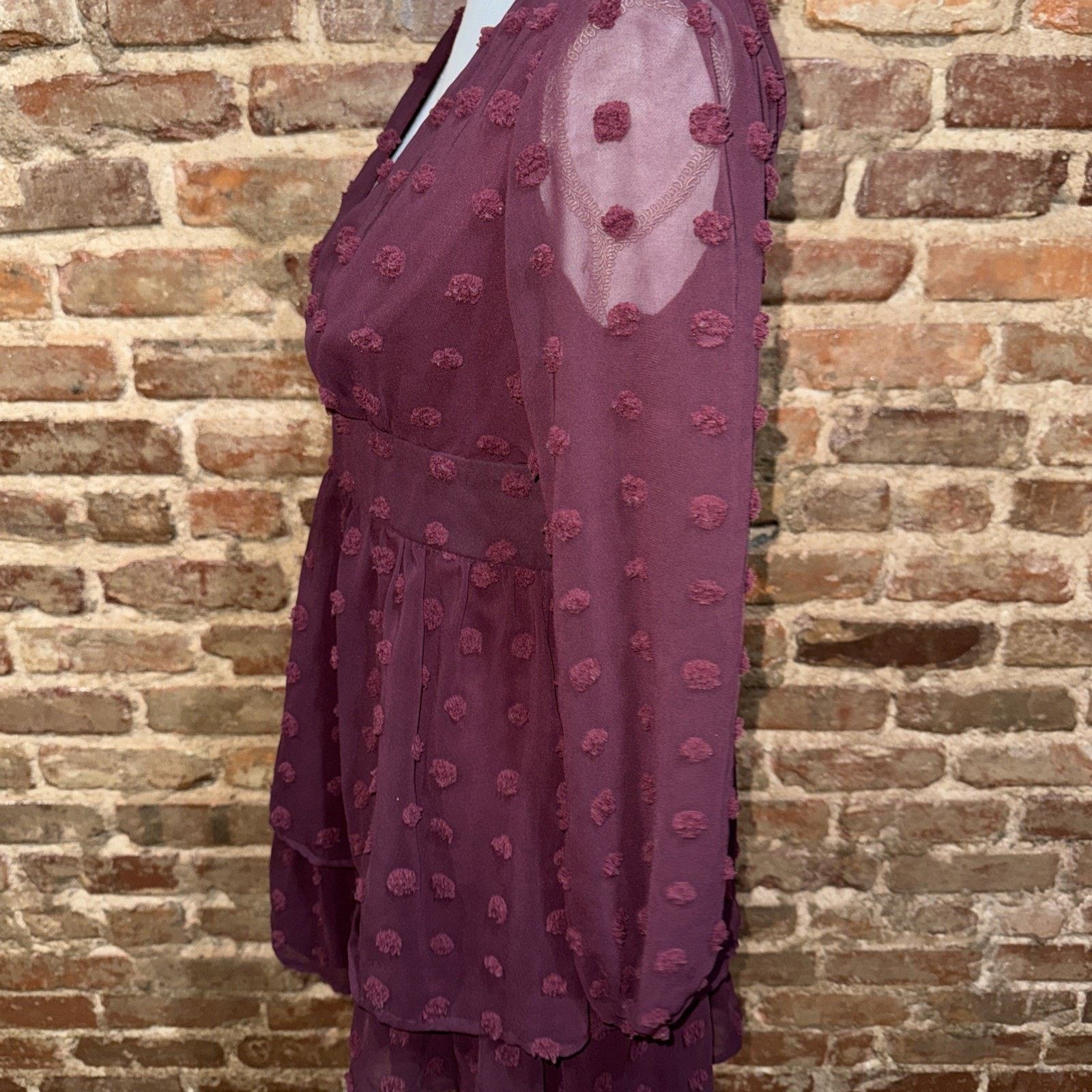 Other Speechless Dress Burgundy Size 7 Y2K Vibe Swiss Polka Dot Size M / US 6-8 / IT 42-44 - 4 Thumbnail