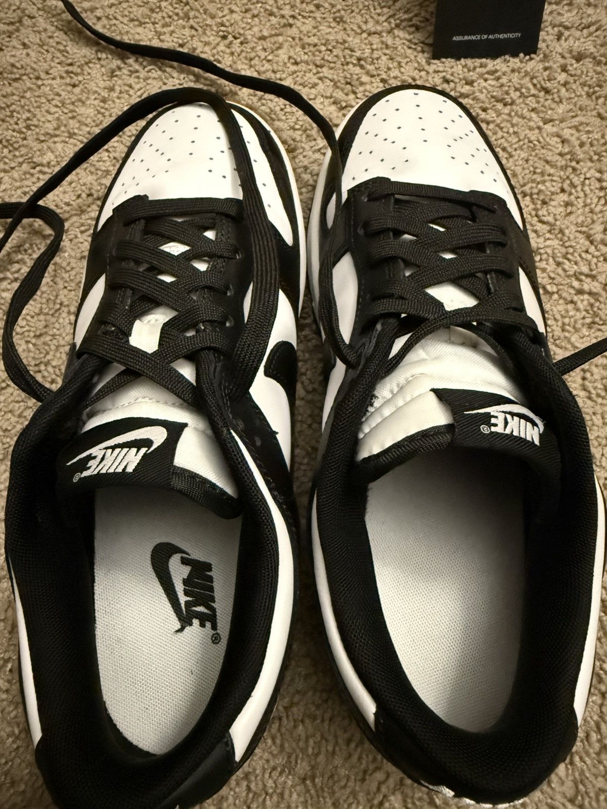 Nike Nike Dunk Low Retro Dunks Size US 8 / EU 41 - 8 Thumbnail