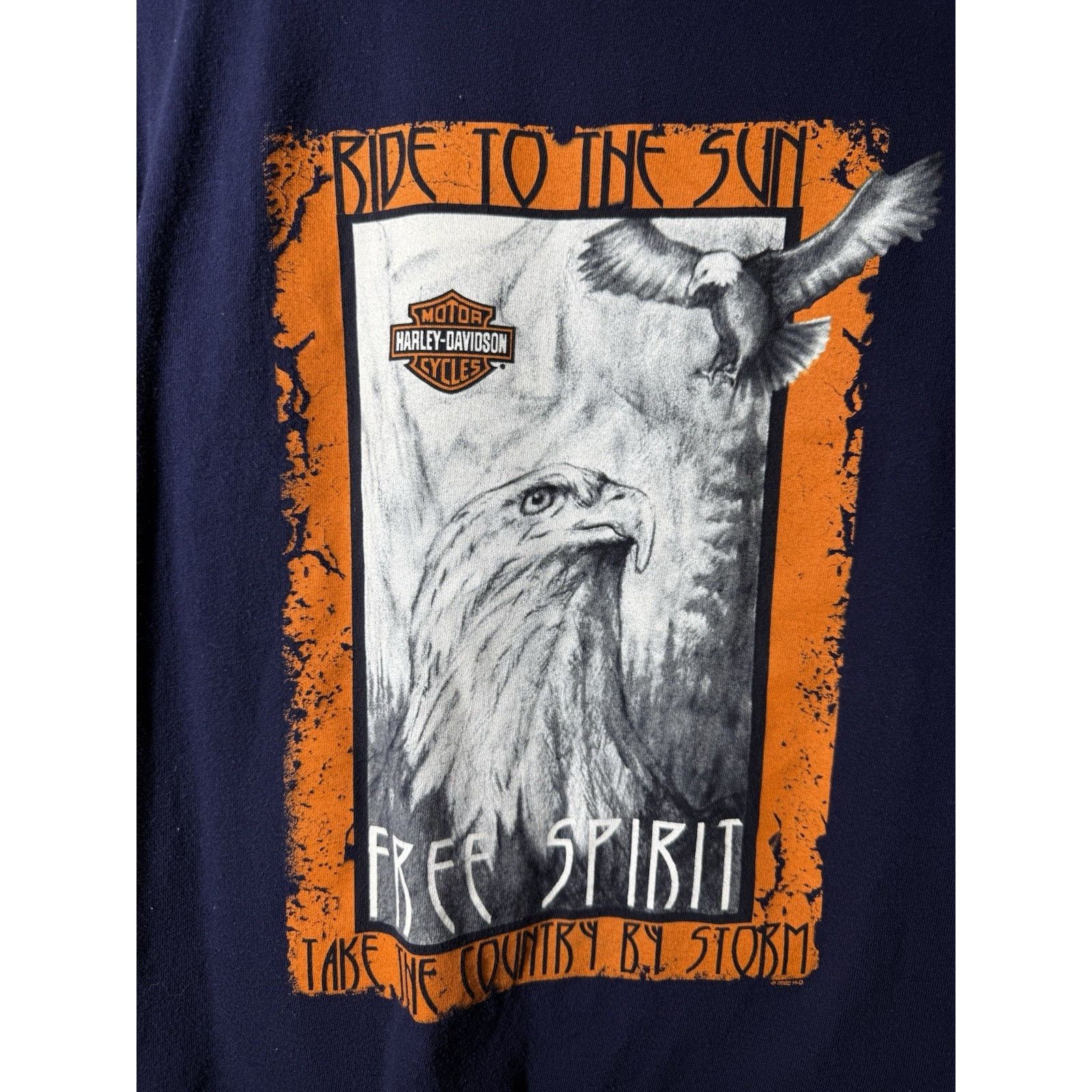 Harley Davidson Harley Davidson Vintage 2002 Tee Ride To the Sun Free Spirit Size US L / EU 52-54 / 3 - 2 Thumbnail