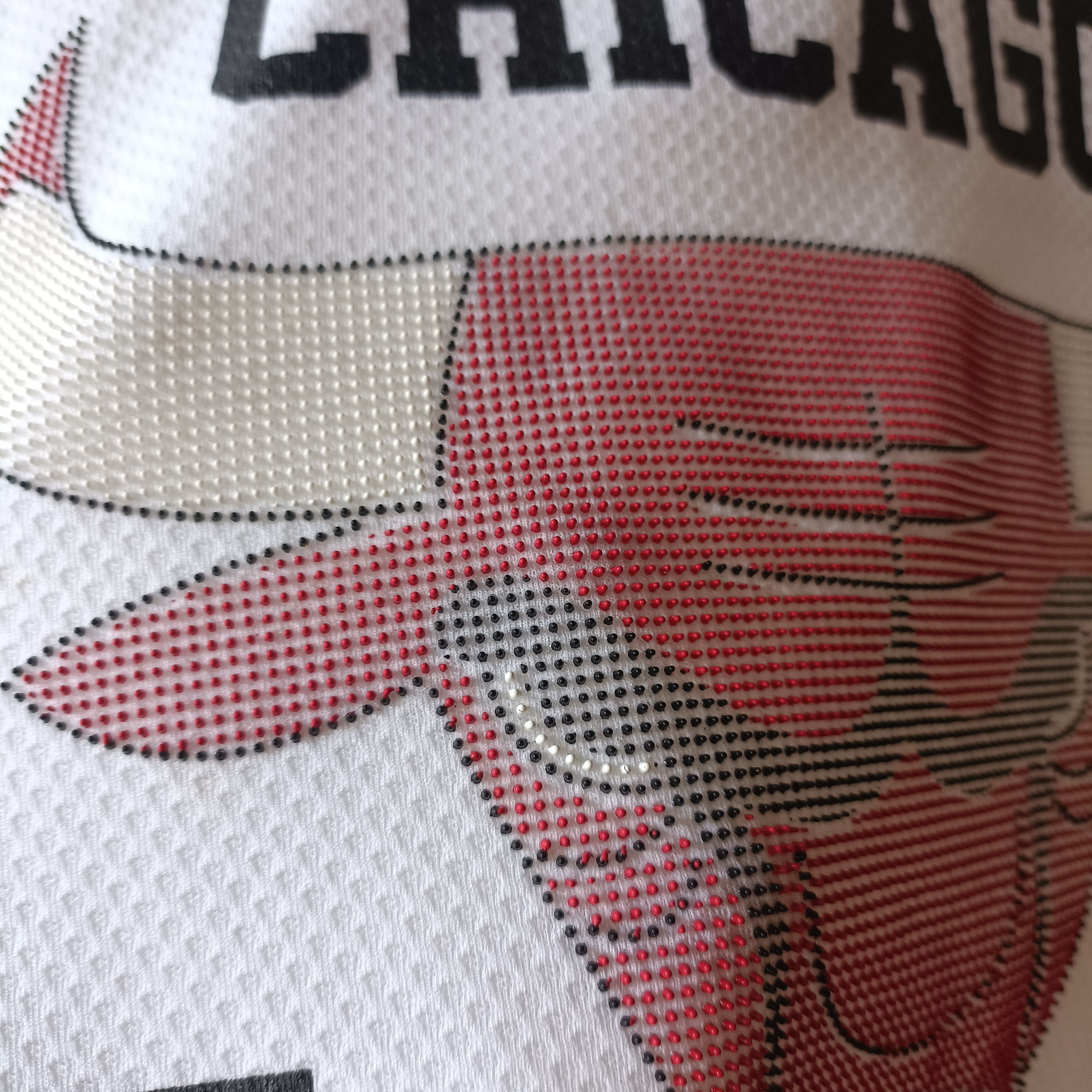NBA NBA Chicago Bulls Fan Jersey Size US L / EU 52-54 / 3 - 3 Thumbnail