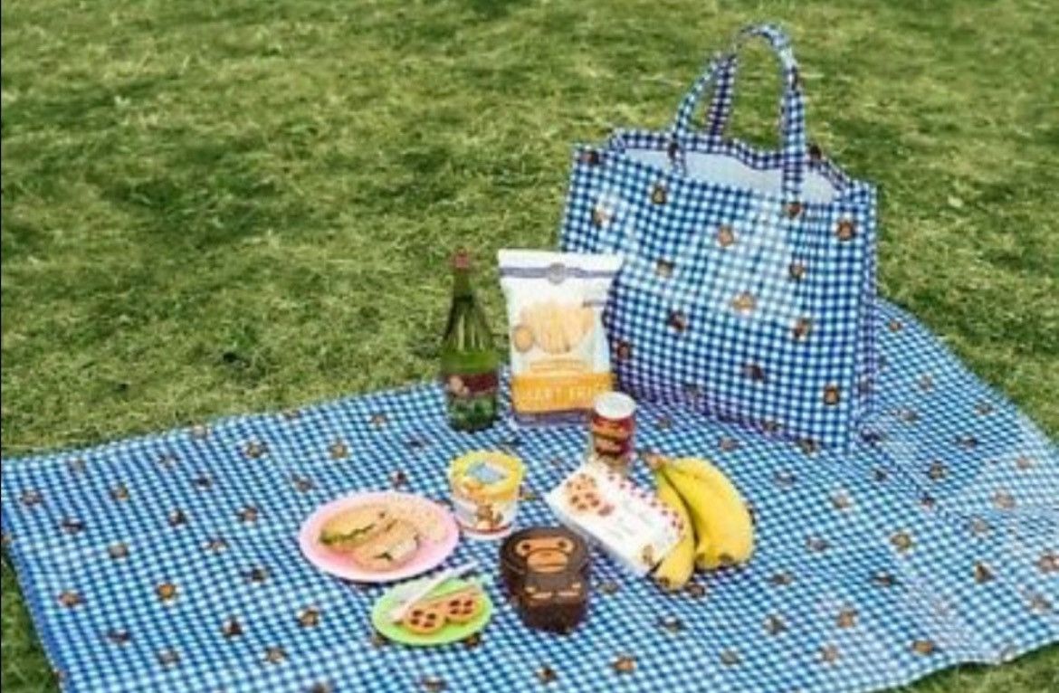 Bape A Bathing Ape Bape x Gingham Leisure Bag and Sheet SS11 Gift Size ONE SIZE - 5 Thumbnail
