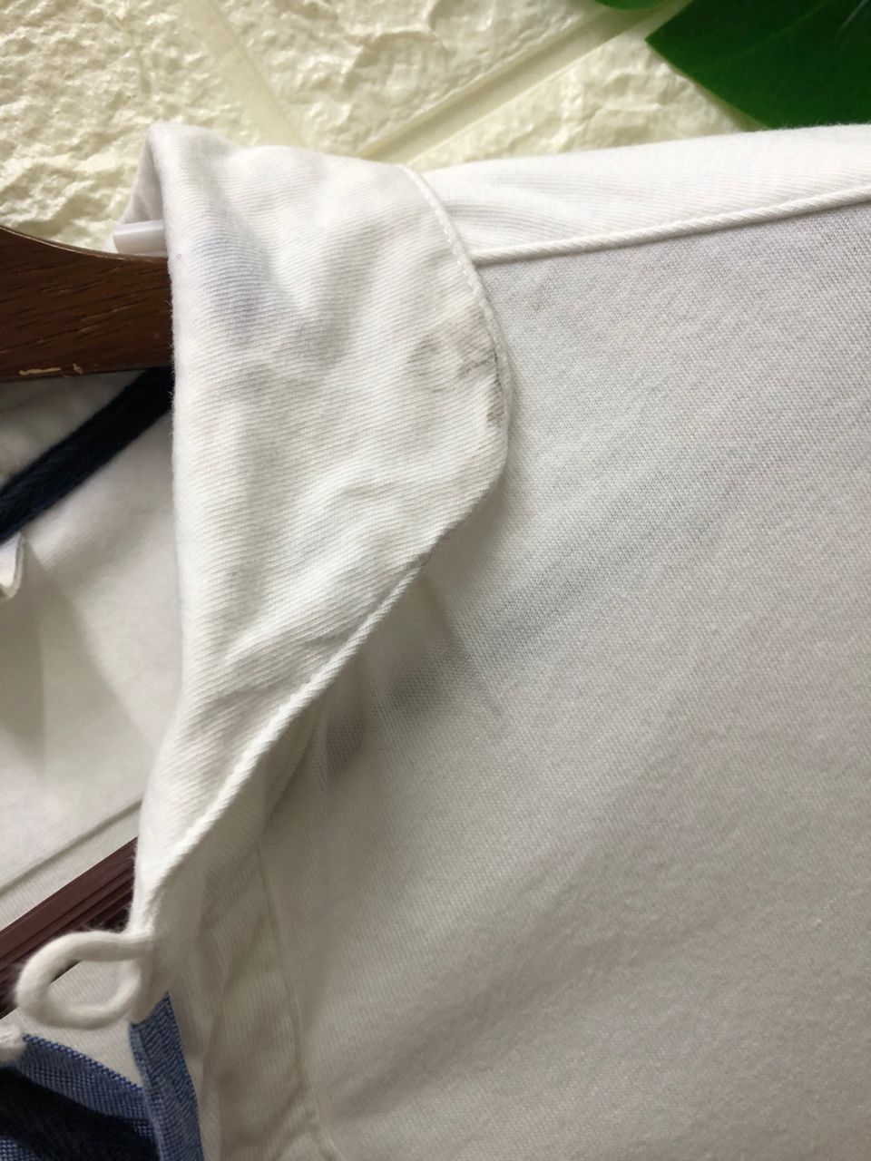 Japanese Brand Spinbox Embroidery polo rabbit Size US L / EU 52-54 / 3 - 7 Thumbnail