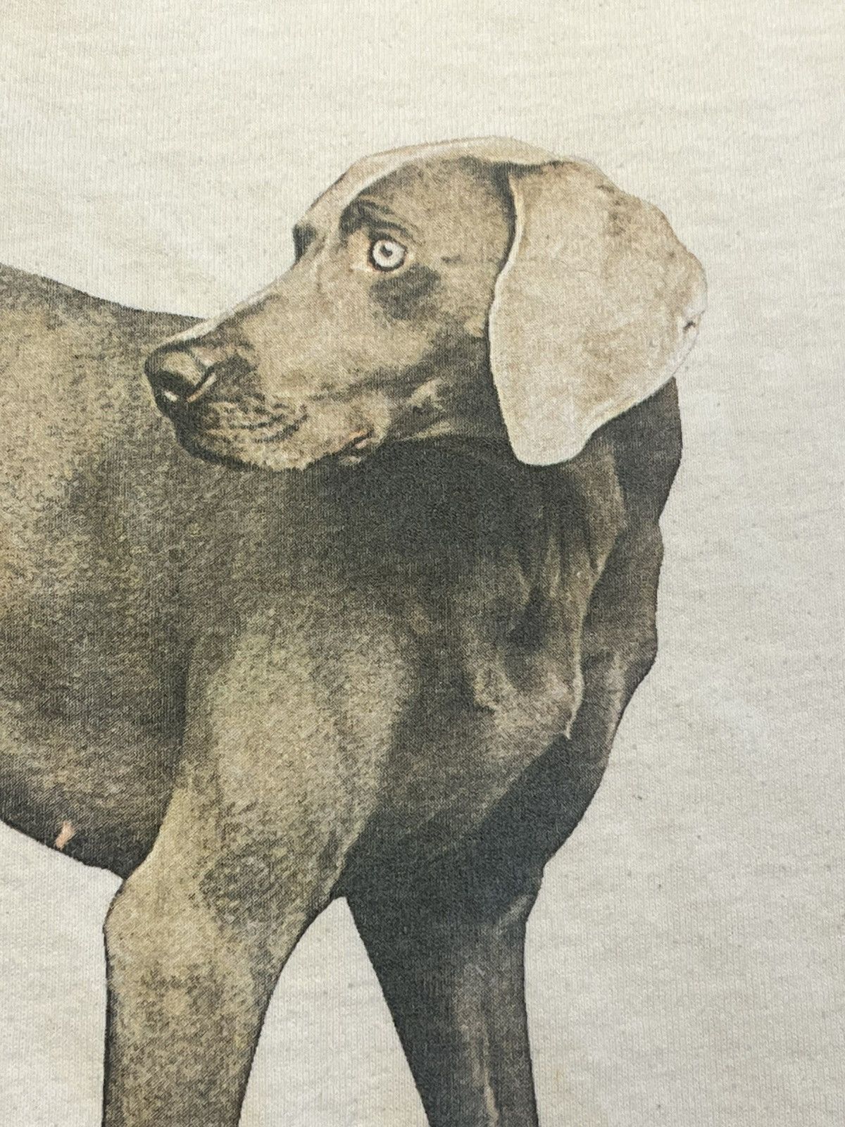 Other Vintage William Wegman Size US M / EU 48-50 / 2 - 1 Thumbnail
