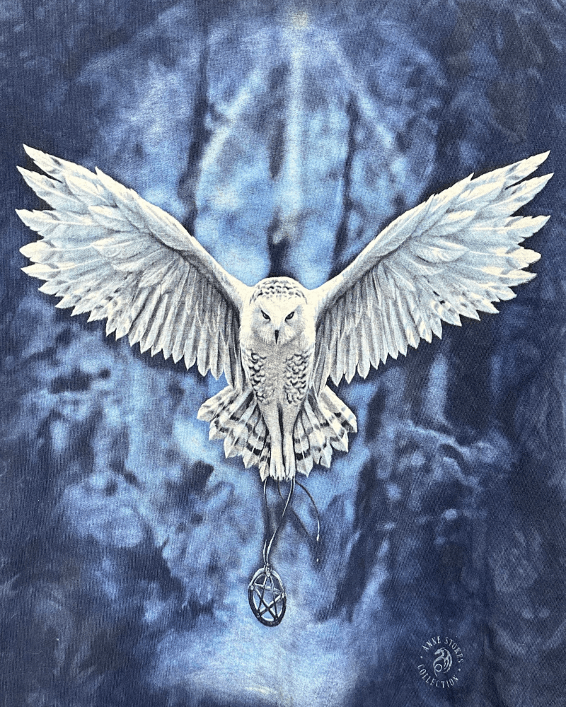 The Mountain × Vintage Vintage The Mountain Anne Stokes Owl T-Shirt - Size Small Size US S / EU 44-46 / 1 - 4 Thumbnail