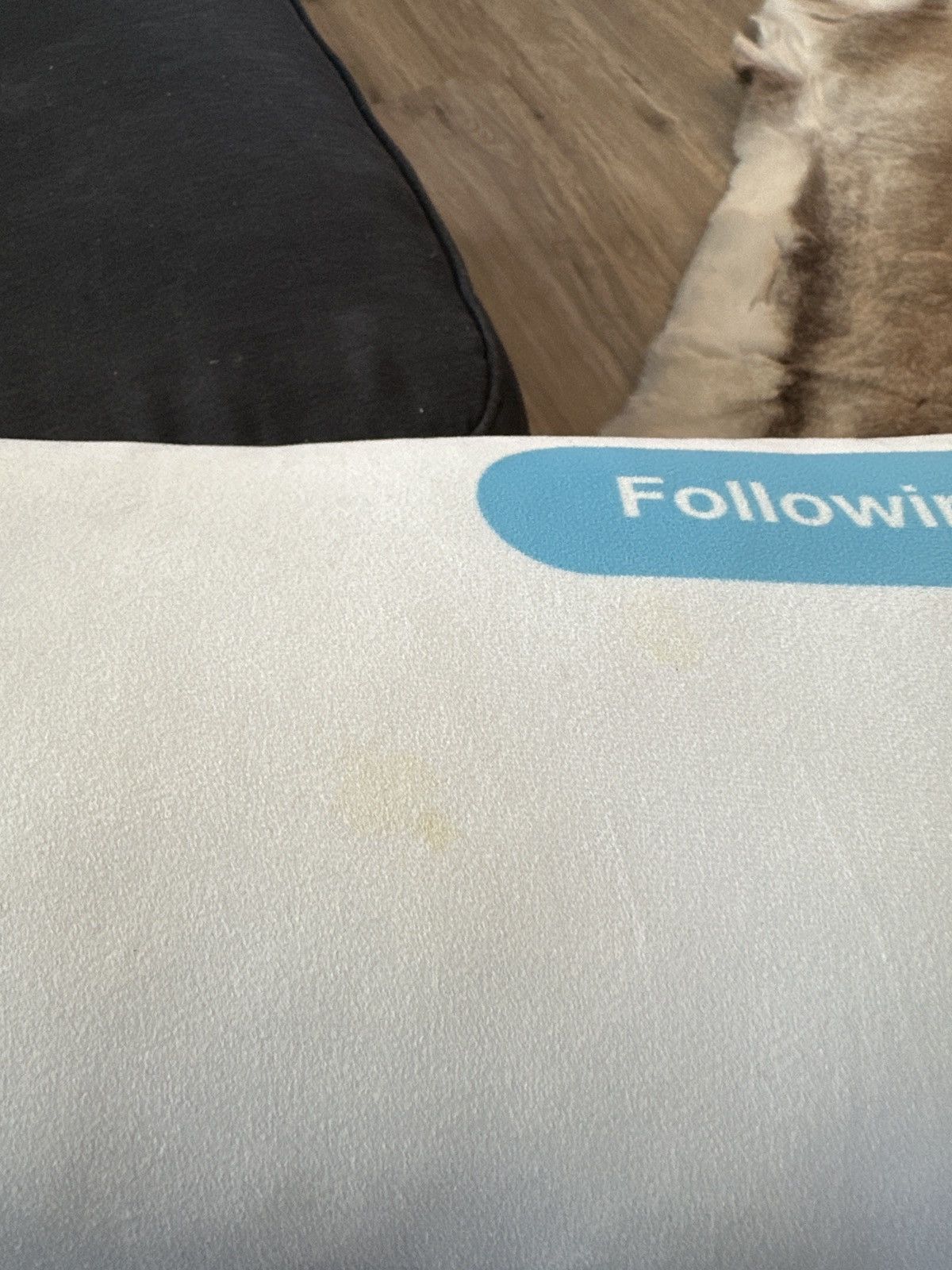 Pizza Slime Tweet Pillow - Kanye Size ONE SIZE - 2 Thumbnail