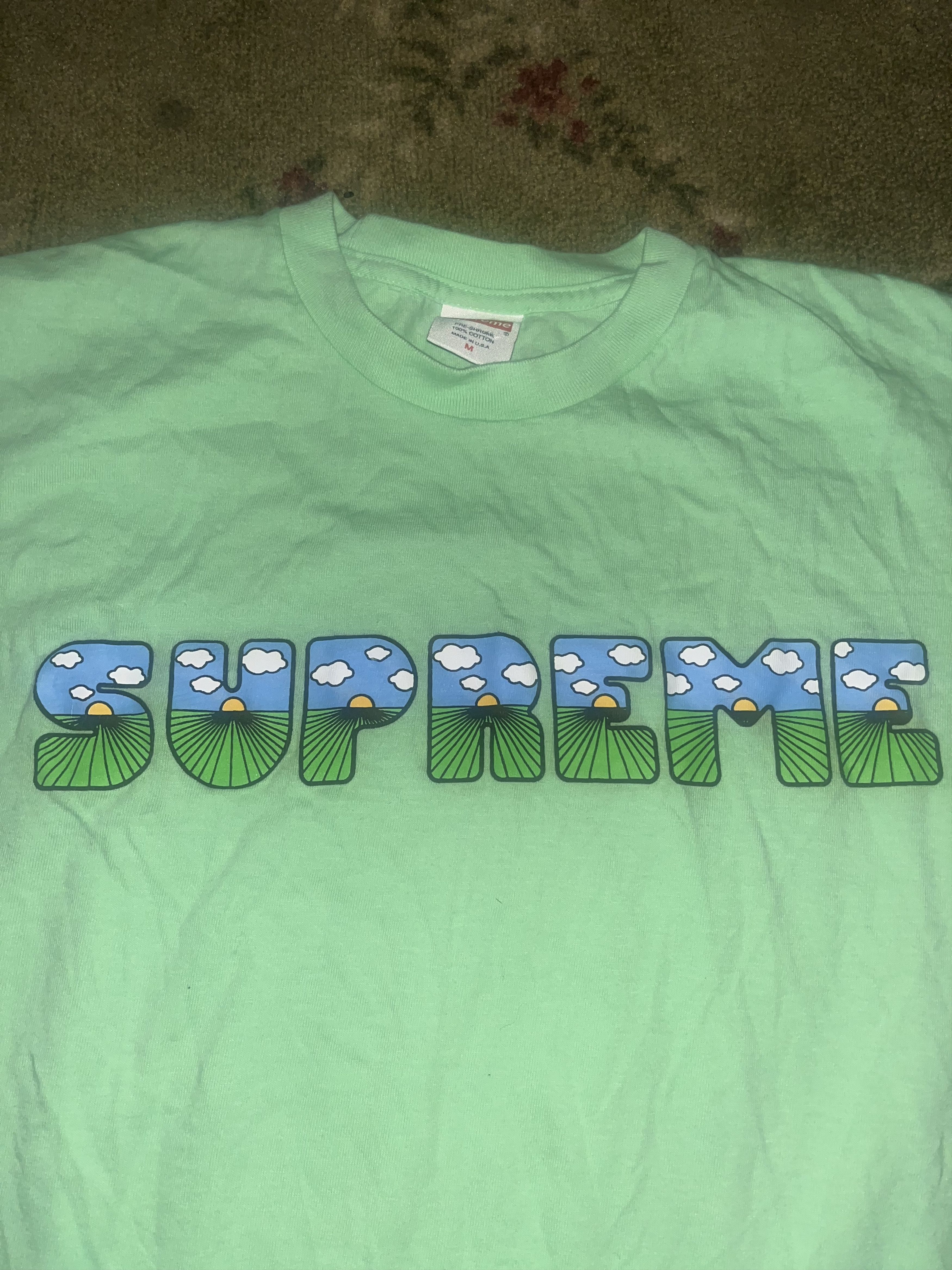 Supreme SS16 Supreme Mint This the 💩 Tee Size US M / EU 48-50 / 2 - 3 Thumbnail