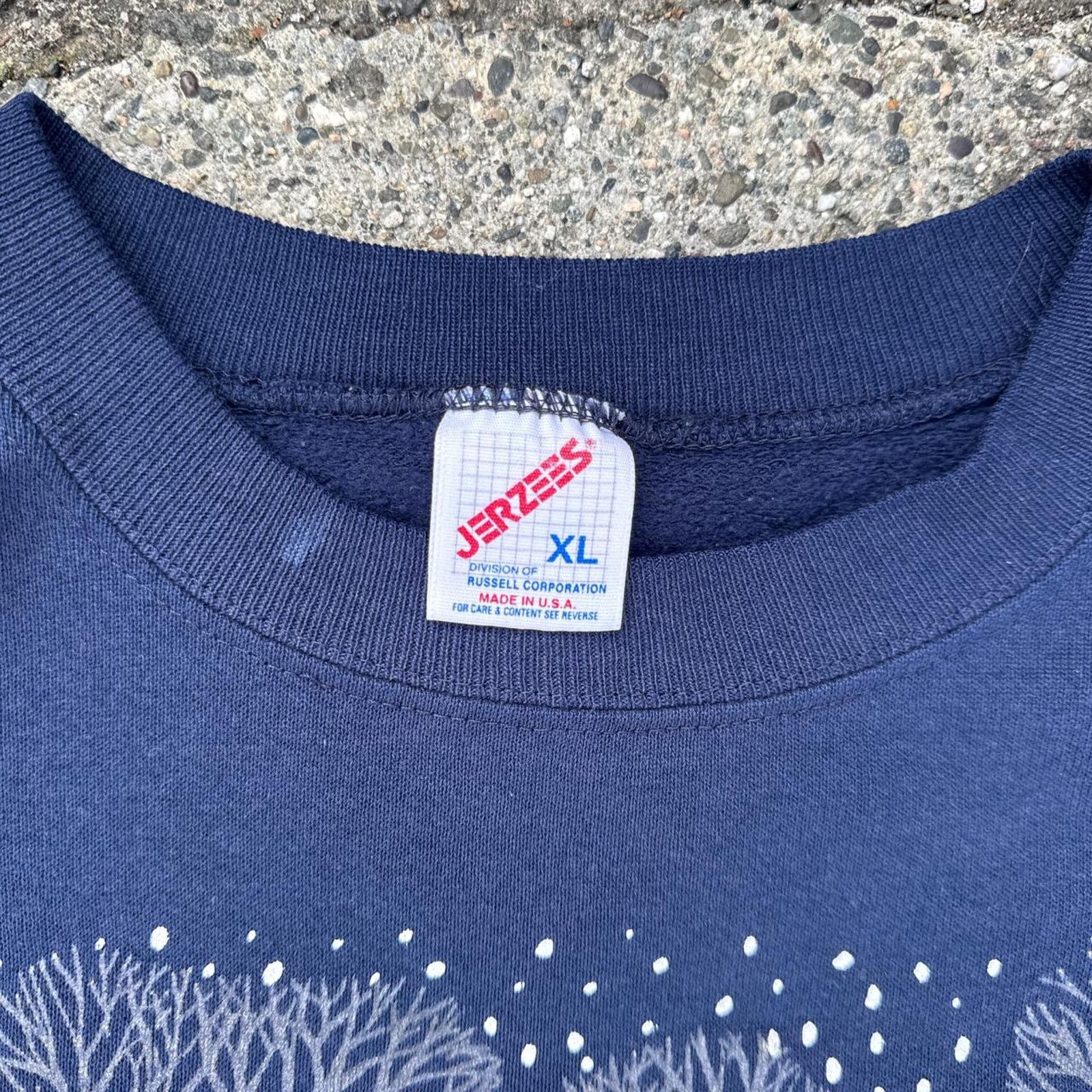 Jerzees Vintage Jerzees “Oregon Nature” Made in USA Crewneck Size XL Size US XL / EU 56 / 4 - 4 Thumbnail