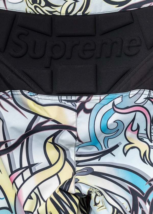 Supreme × The North Face NEW SUPREME X THE NORTH FACE STEEP TECH PADDED DRAGON PANTS Size US 34 / EU 50 - 6 Thumbnail