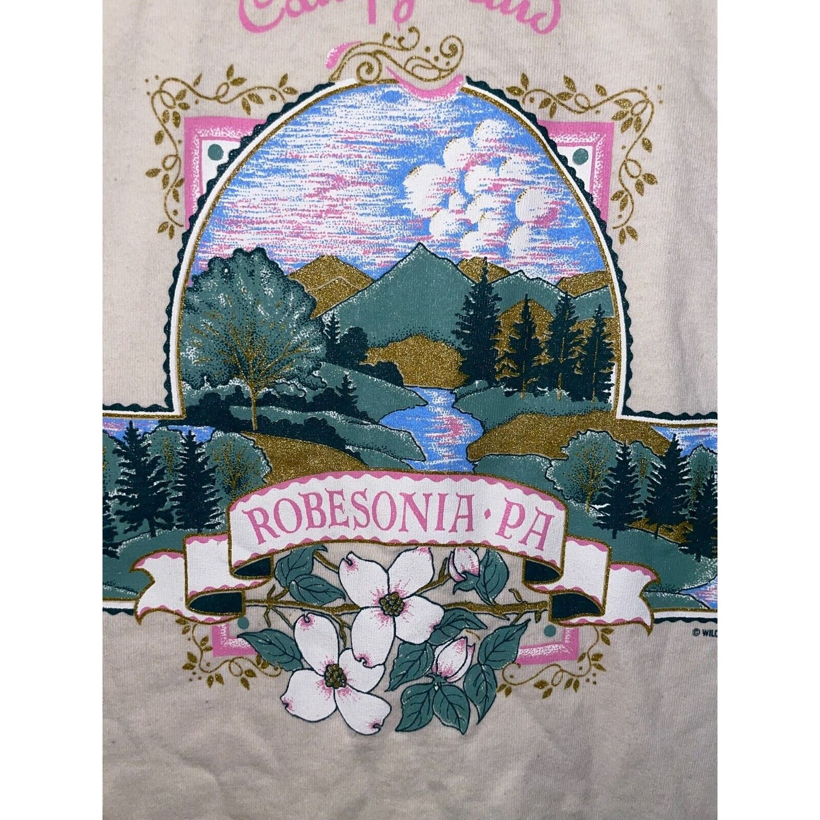 Signal Sport 90s Vintage Eagles Peak Robesonia White Ringer Shirt Large Size US L / EU 52-54 / 3 - 4 Thumbnail