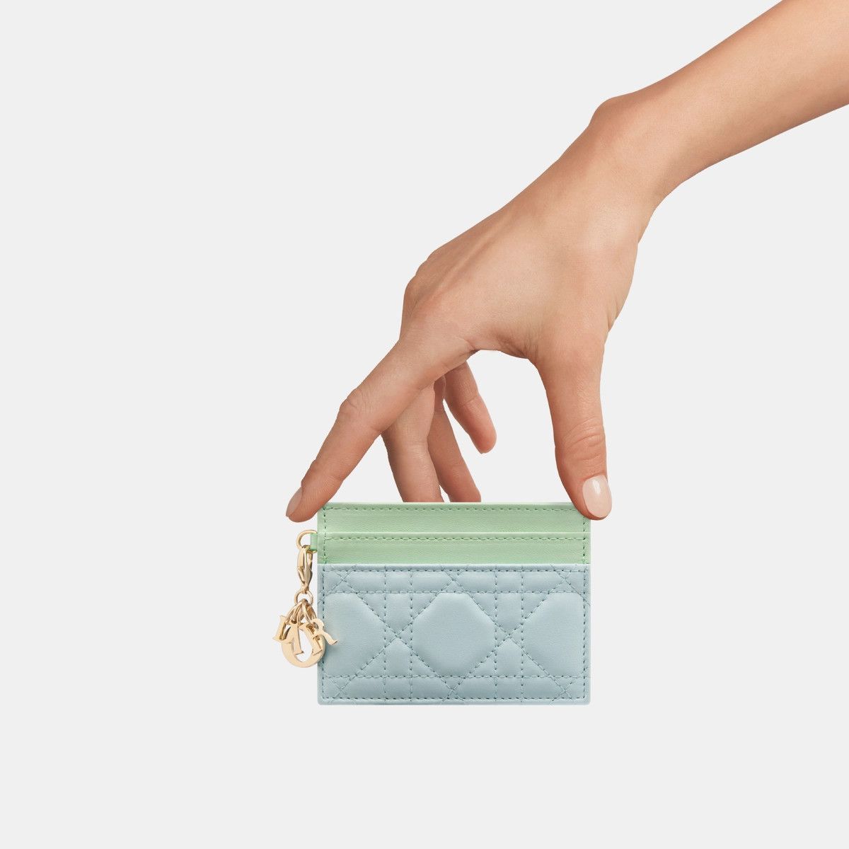 Dior o1bcso1str0226 Size:OS/Freesia Card Holder in Blue/Pastel Size ONE SIZE - 4 Thumbnail