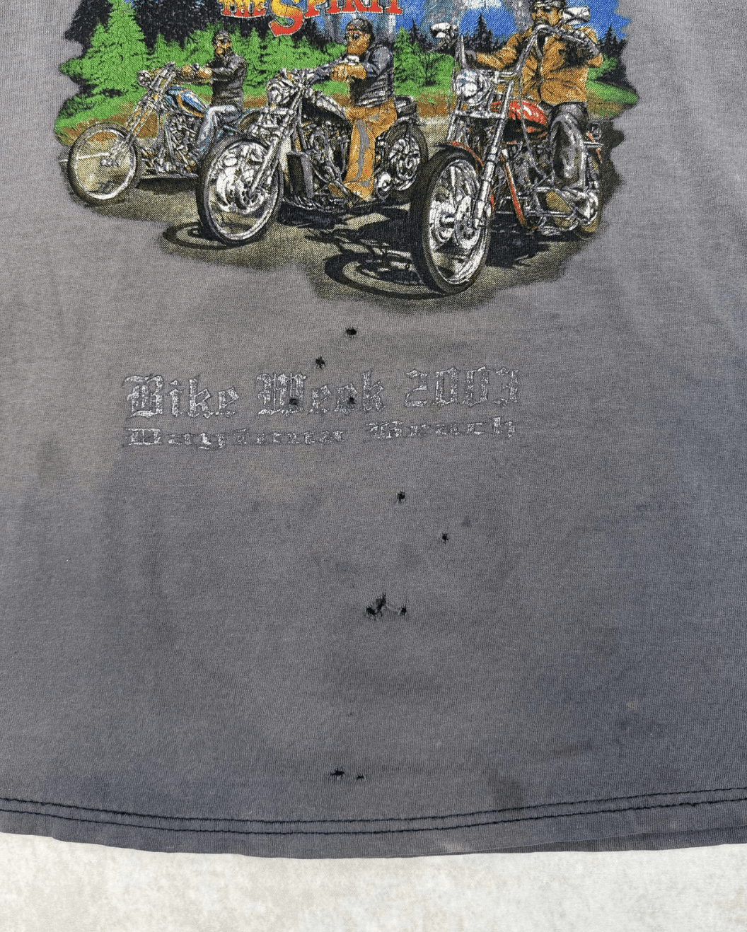 Other Vintage 2003 Bike Week Daytona Beach Faded T-Shirt Size US M / EU 48-50 / 2 - 3 Thumbnail