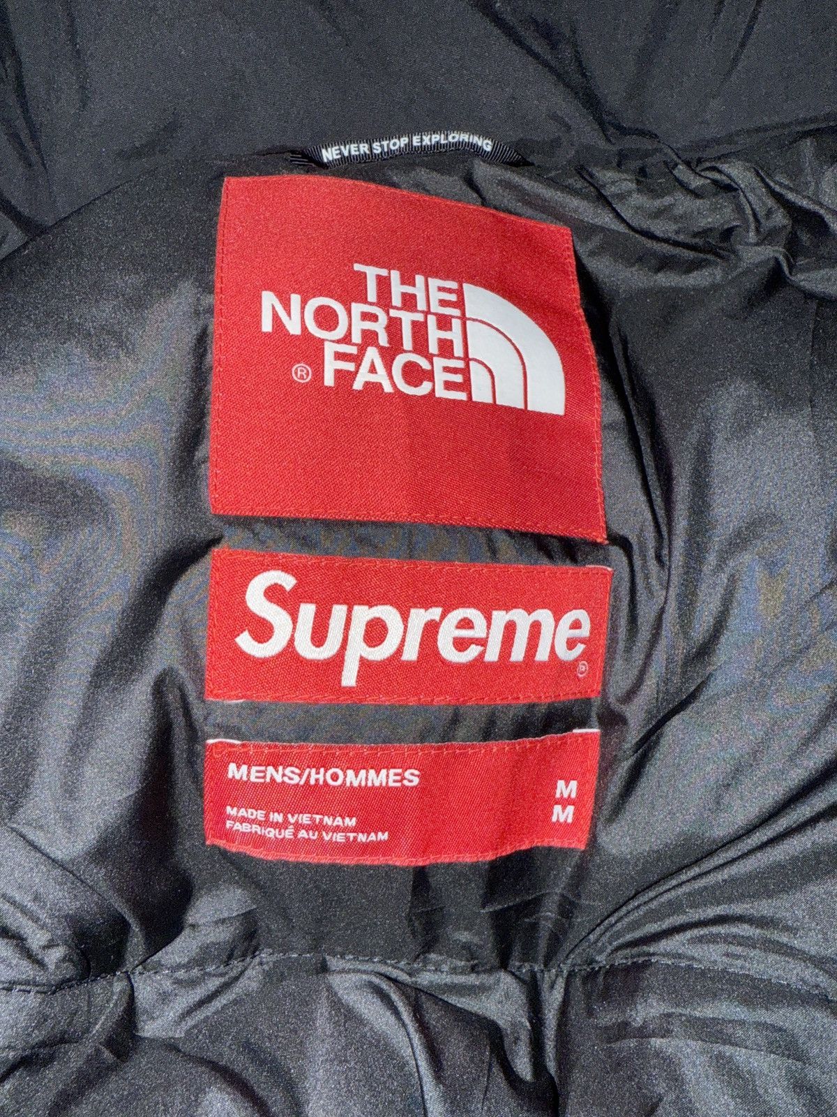 Supreme × The North Face SUPREME THE NORTH FACE STATUE OF LIBERTY BALTORO JACKET Size US M / EU 48-50 / 2 - 2 Thumbnail