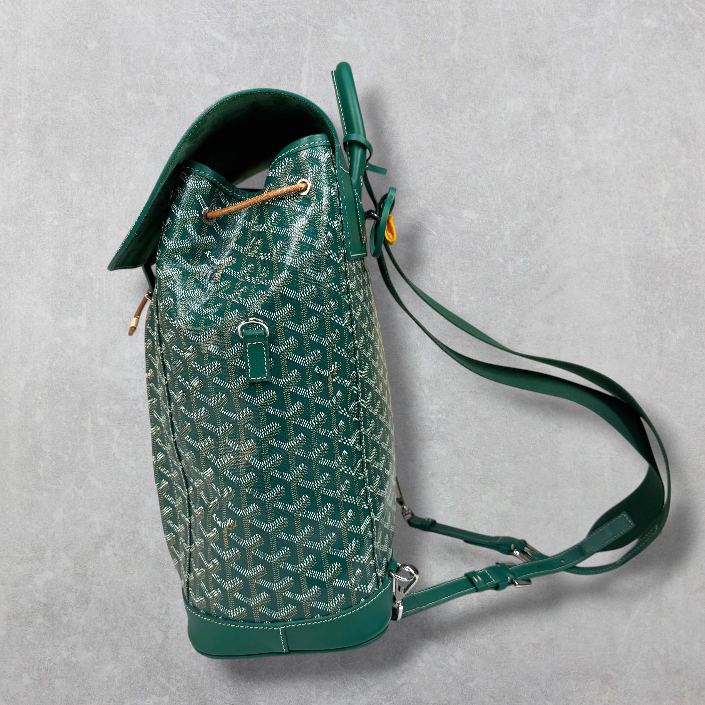 Goyard Goyard Green Alpin Backpack Size ONE SIZE - 3 Thumbnail