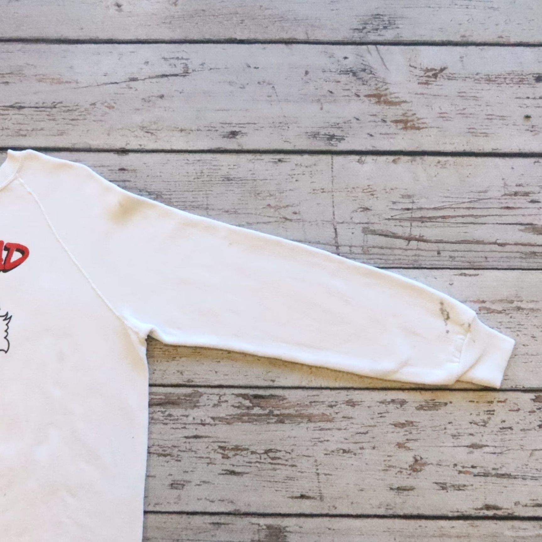 Vintage VINTAGE Albert Einstein Egghead Software Sweatshirt Men XL White Pullover 80s String? Size US XL / EU 56 / 4 - 5 Thumbnail