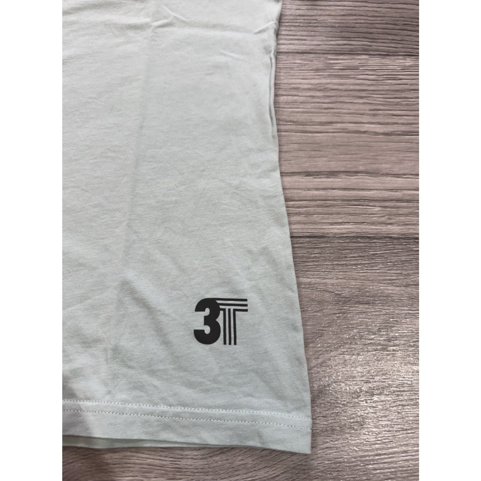 Vintage ON Running Swiss Team Mens M Graphic Cotton Tee “respect friendship excellence” Shirt Mens M Turquoise Organic Cotton Size US M / EU 48-50 / 2 - 4 Thumbnail