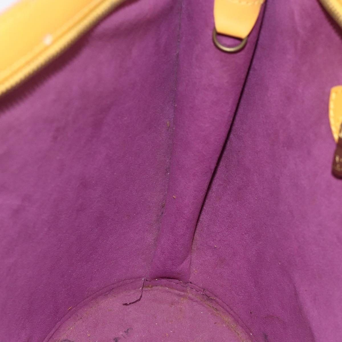 Louis Vuitton Louis Vuitton Epi Saint Jacques Shopping Shoulder Bag Yellow Size ONE SIZE - 10 Thumbnail