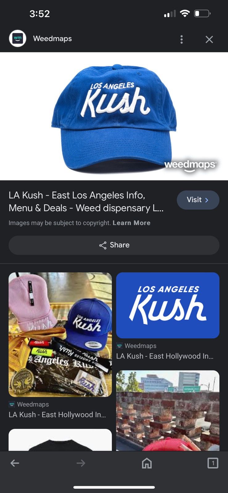 Los Angeles Apparel Pit Bull Los Angeles Kush Adjustable Dad Hat Size ONE SIZE - 15 Thumbnail