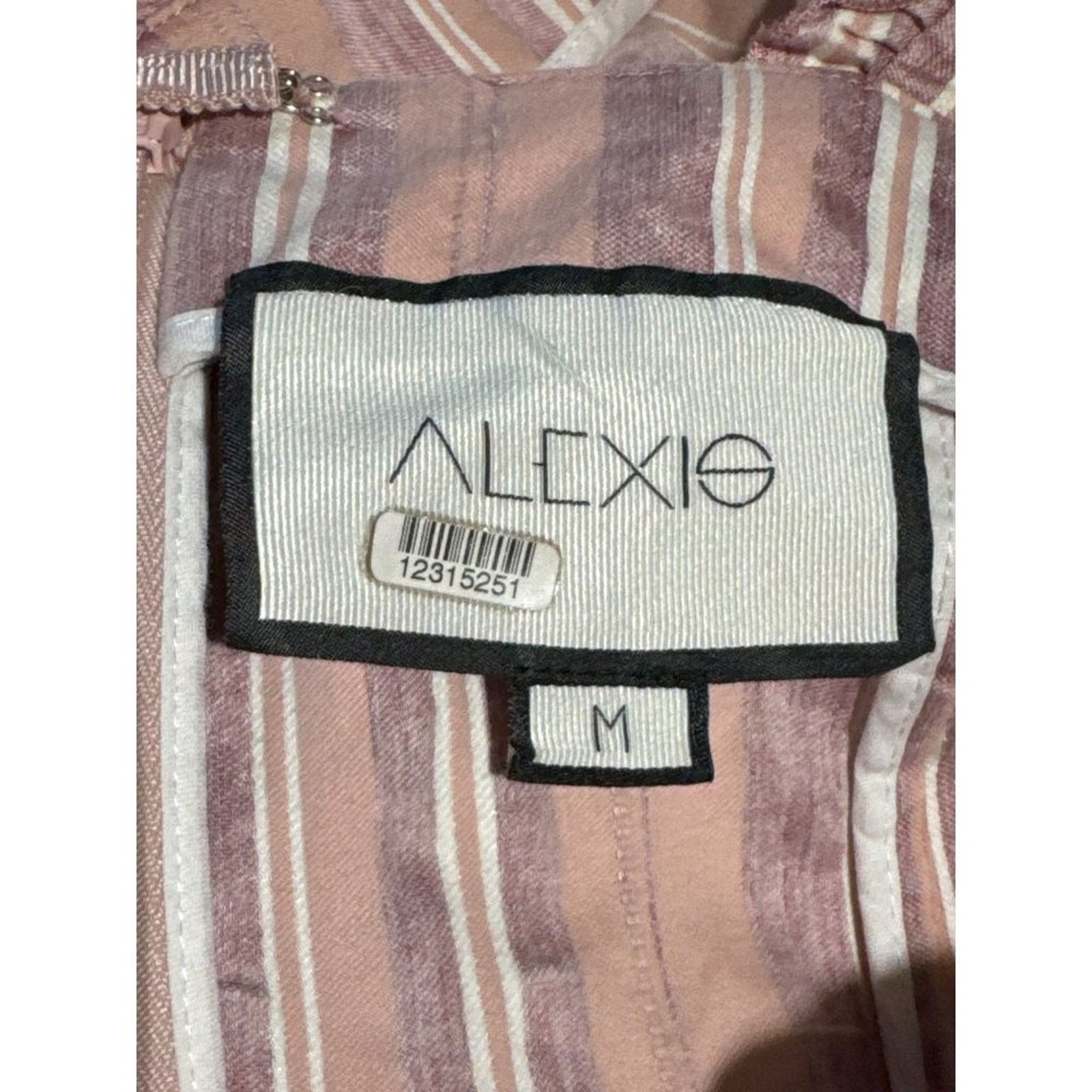 ALEXIS Alexis Brandy Ruffle Mini Dress Rose Stripe Feminine Medium Size M / US 6-8 / IT 42-44 - 5 Thumbnail