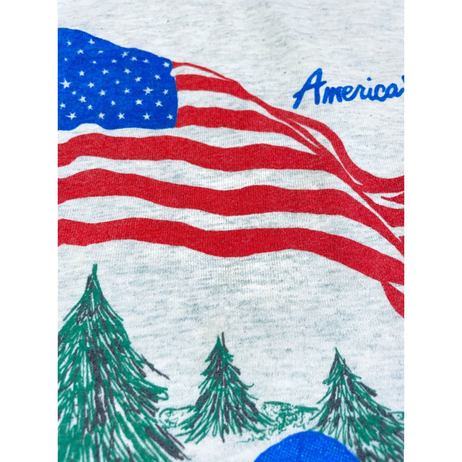 Fruit Of The Loom VTG 90s Alpena Michigan Lake Print T-Shirt Adult S Gray Fruit of the Loom Short Sleeve Crew Neck 50/50 Vintage Men's Shirt Size US S / EU 44-46 / 1 - 5 Thumbnail
